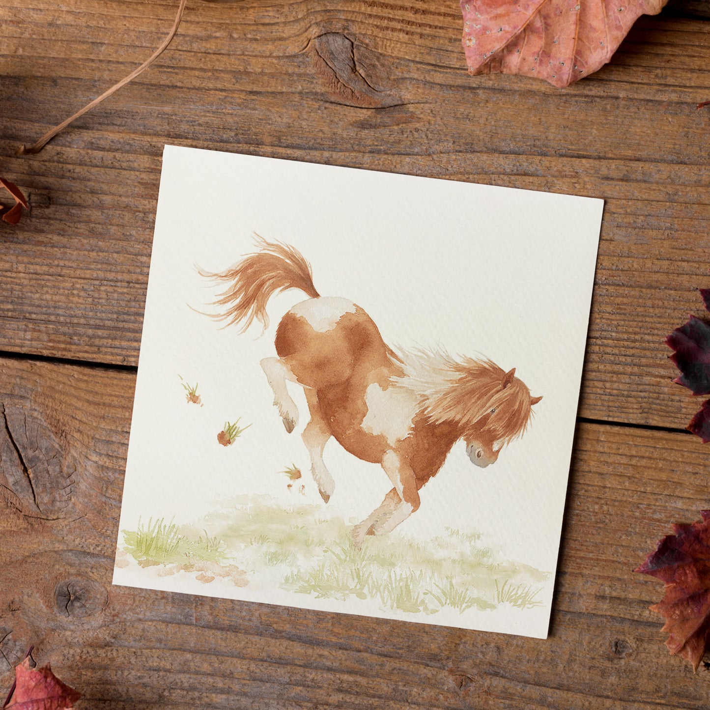 A square greetings card on a wooden table with a watercolour design of a bucking Shetland pony in a field.