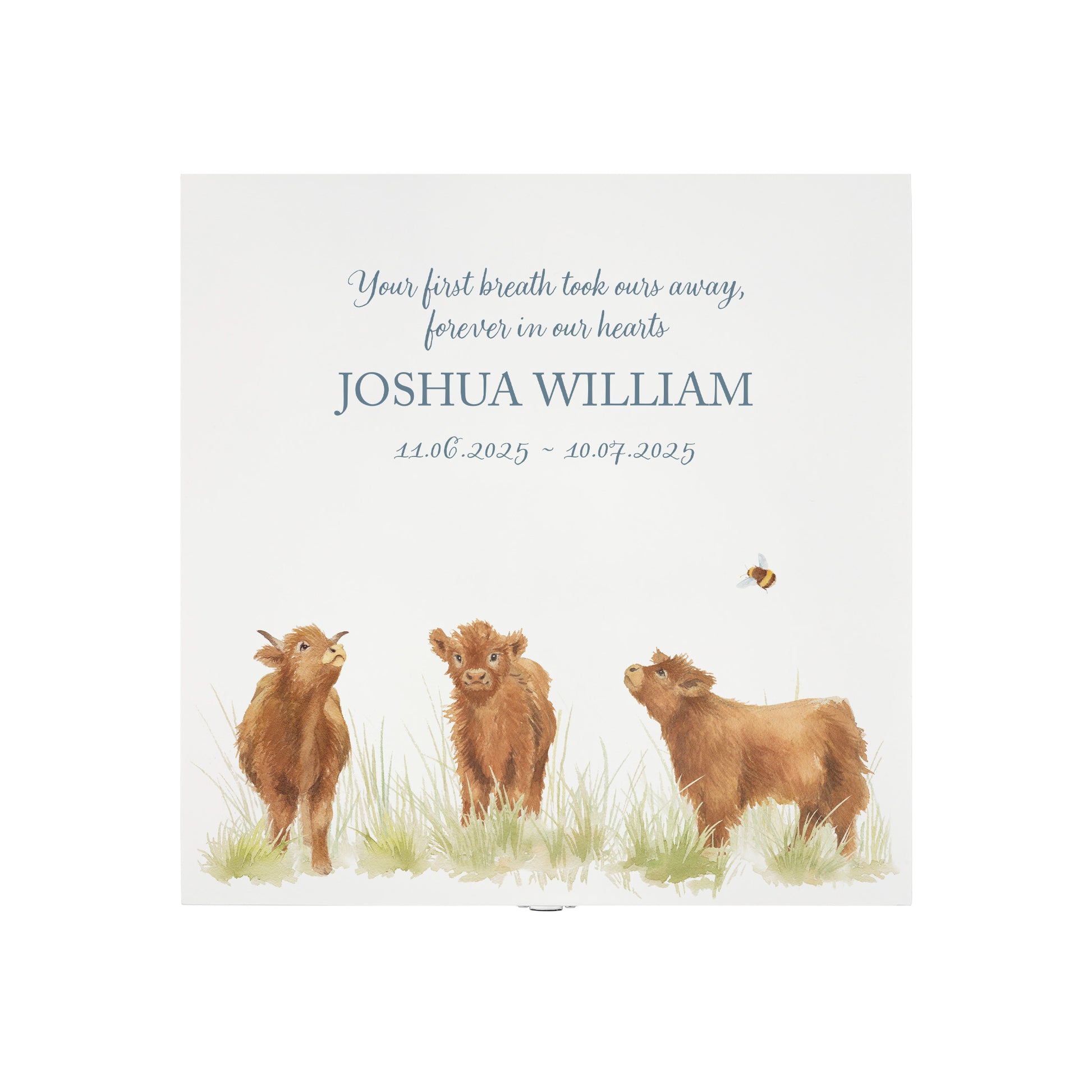 White Square personalised Wooden box with a decorative lid featuring illustrations Baby Highland Cow Perfect funeral memory keepsake box, for storing ashes, order of service, flowers and coping with baby loss capturing your loved ones things in one place.