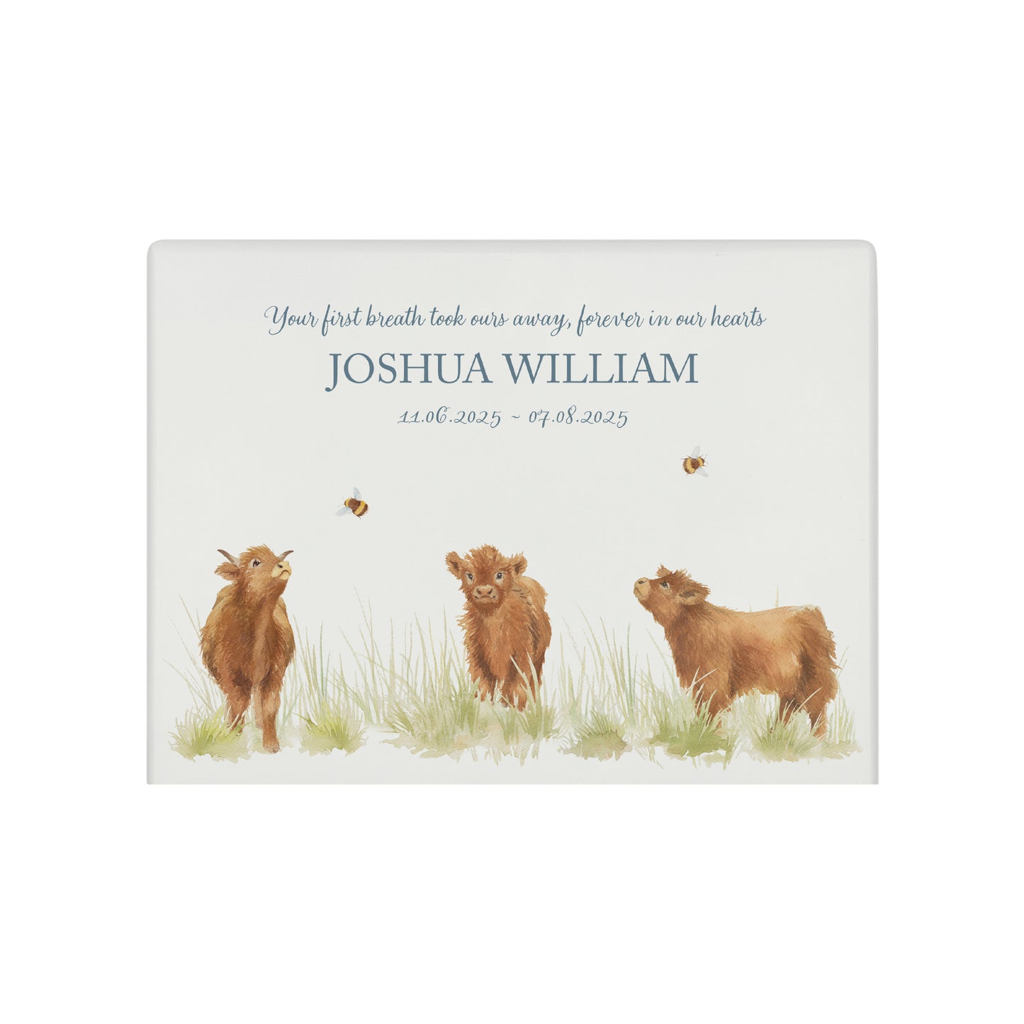 Luxury solid wooden white painted with Baby Highland Cow , a beautiful watercolour illustration our urns and Caskets for displaying or burying ashes. Customisable and can be personalised. Perfect funeral memory keepsake urn, for storing ashes for humans and pets. Coping with baby loss.
