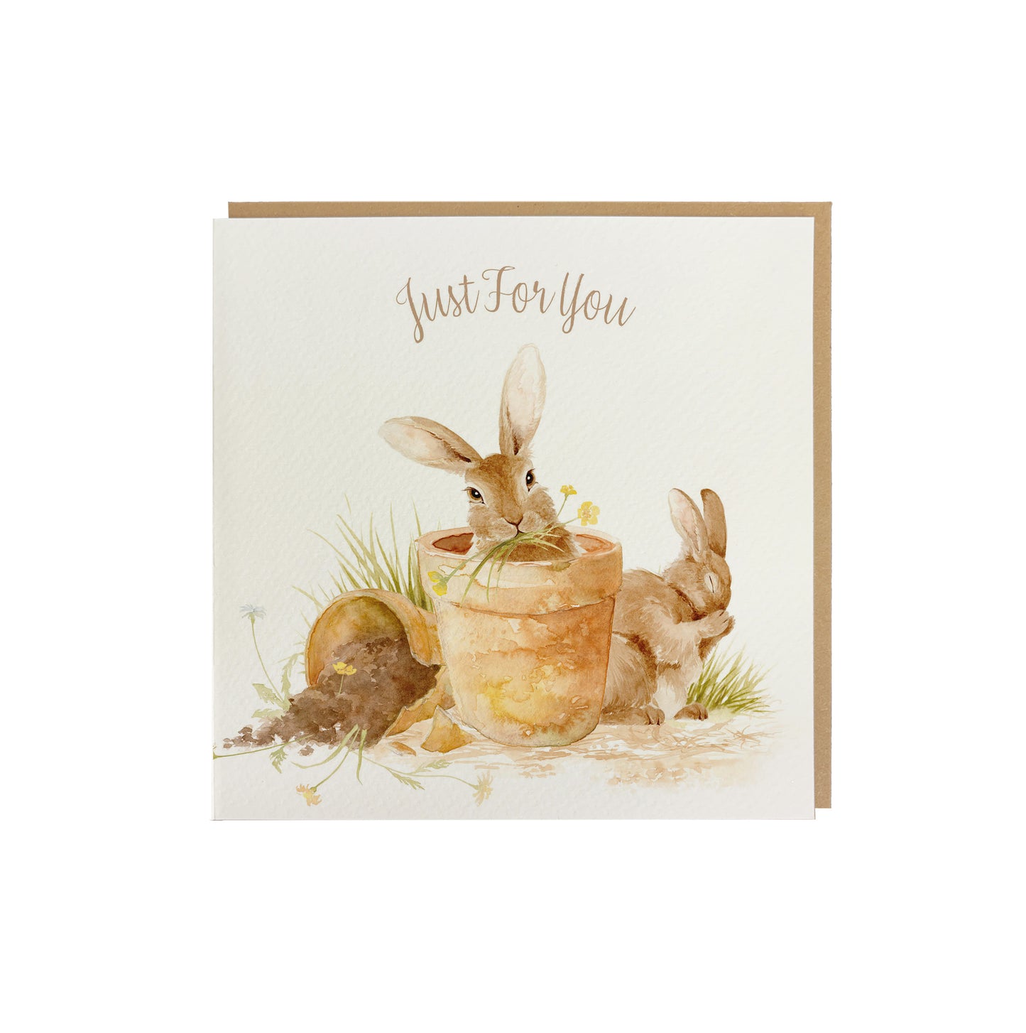 A square greetings card with a watercolour design of rabbits in flowerpots. The card reads 'Just For you' and is supplied with a brown kraft envelope.