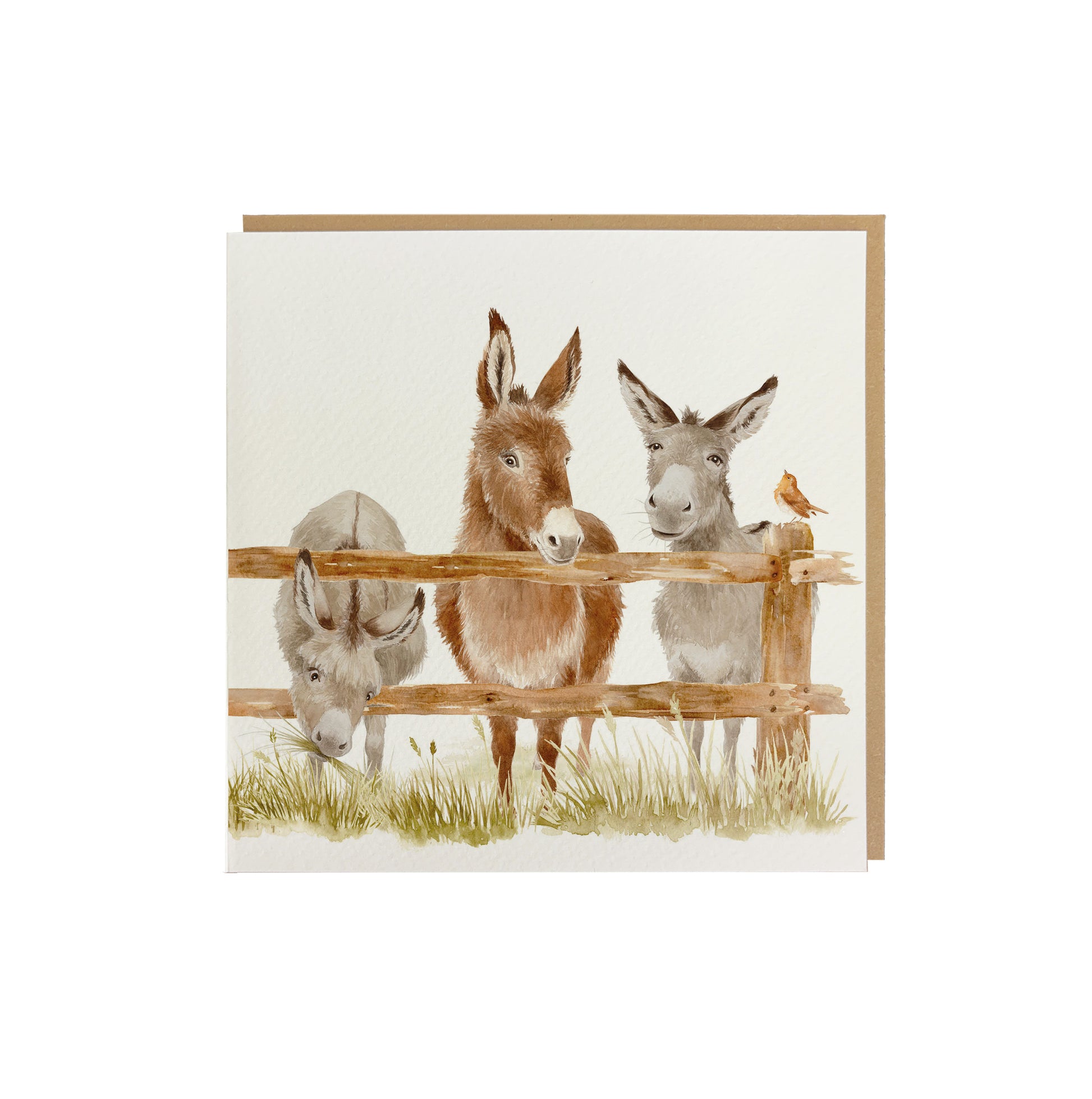 A square greetings card with a watercolour design of three donkeys peering over a wooden fence. The card is supplied with a brown kraft envelope.