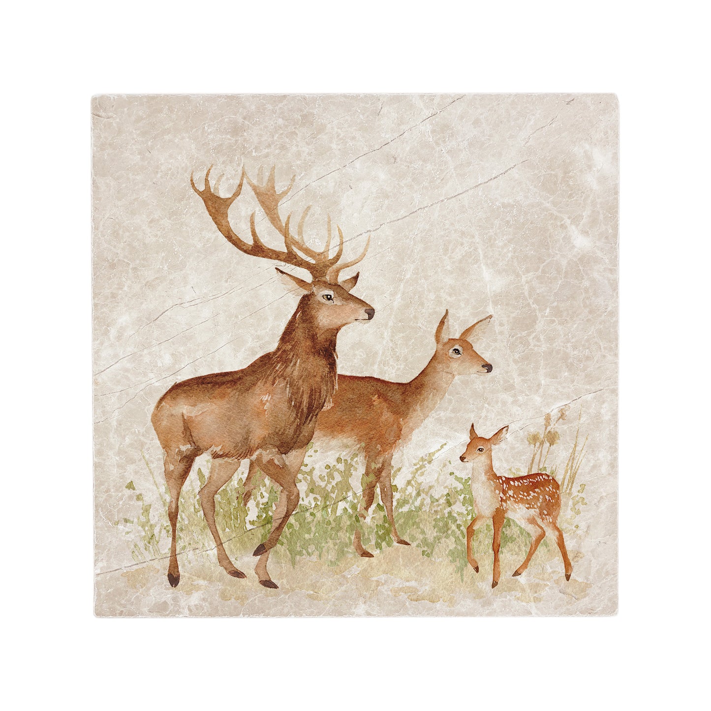 A handmade square cream marble splashback tile featuring a watercolour design of a family of red deer including a stag, doe and fawn.