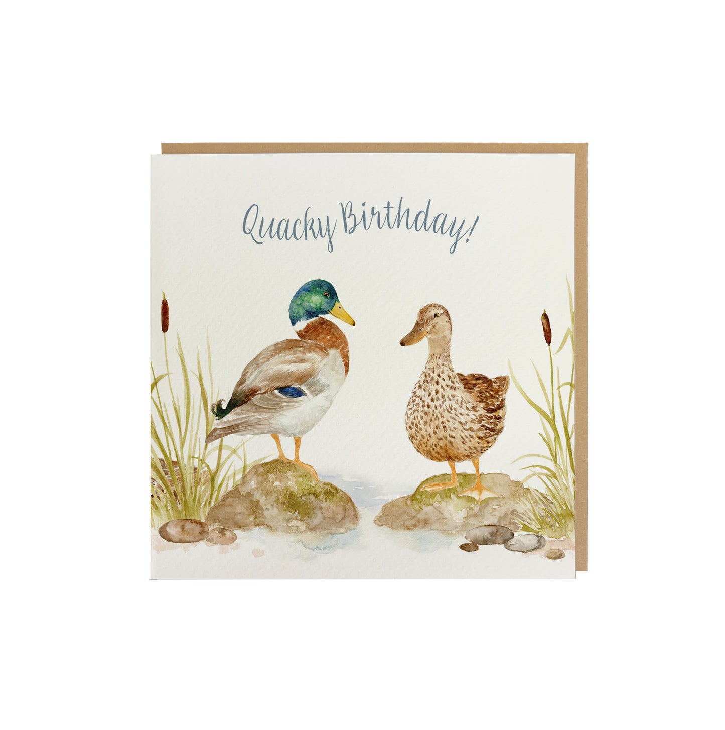 A square greetings card with a watercolour design of two Mallard ducks that reads 'Quacky Birthday' The card is supplied with a brown kraft envelope.