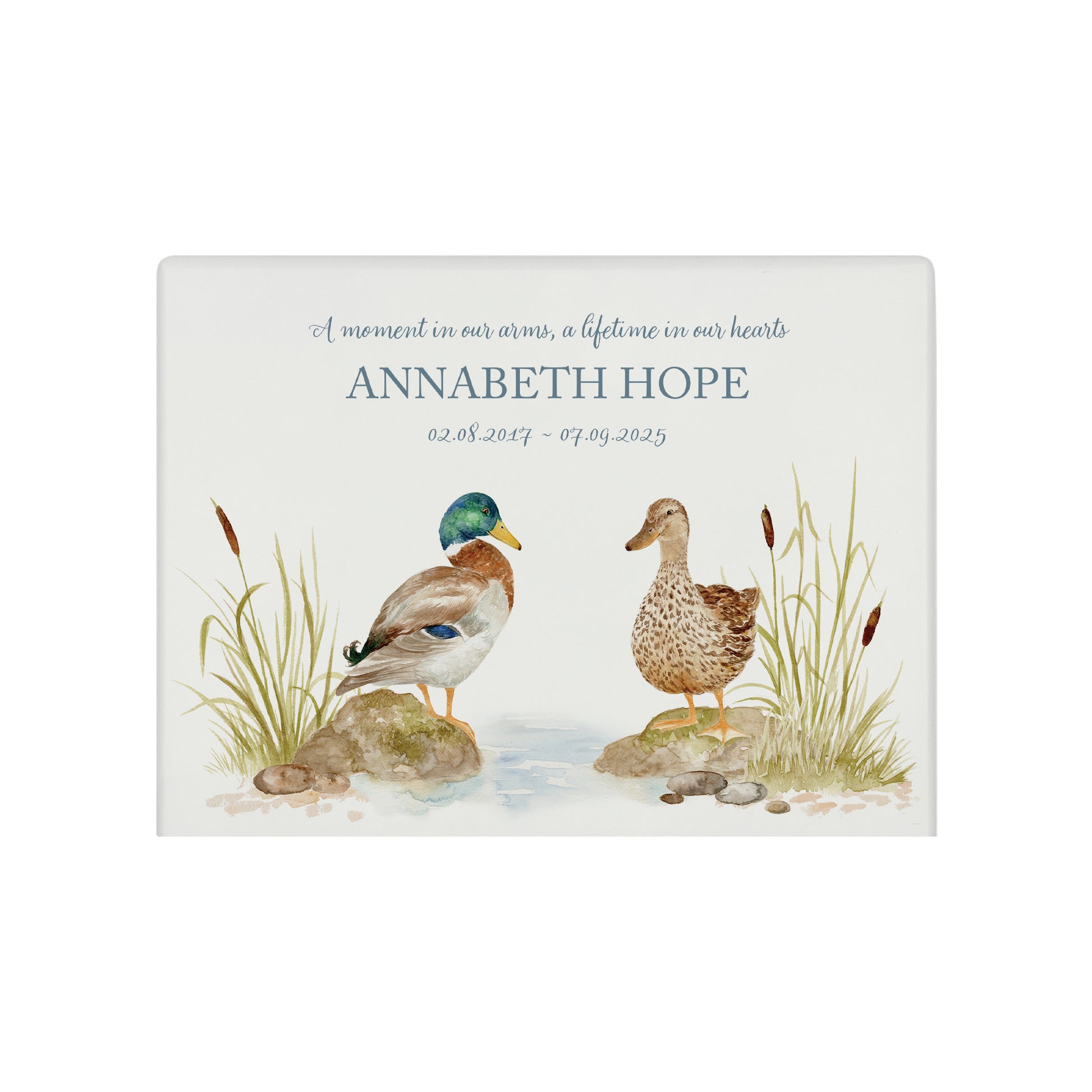 Luxury solid wooden white painted with Ducks on a bank, beautiful watercolour illustration our urns and Caskets for displaying or burying ashes. Customisable and can be personalised. Perfect funeral memory keepsake urn, for storing ashes for humans and pets.