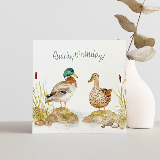 A square greetings card featuring a watercolour design of two Mallard ducks that reads 'Quacky Birthday'.