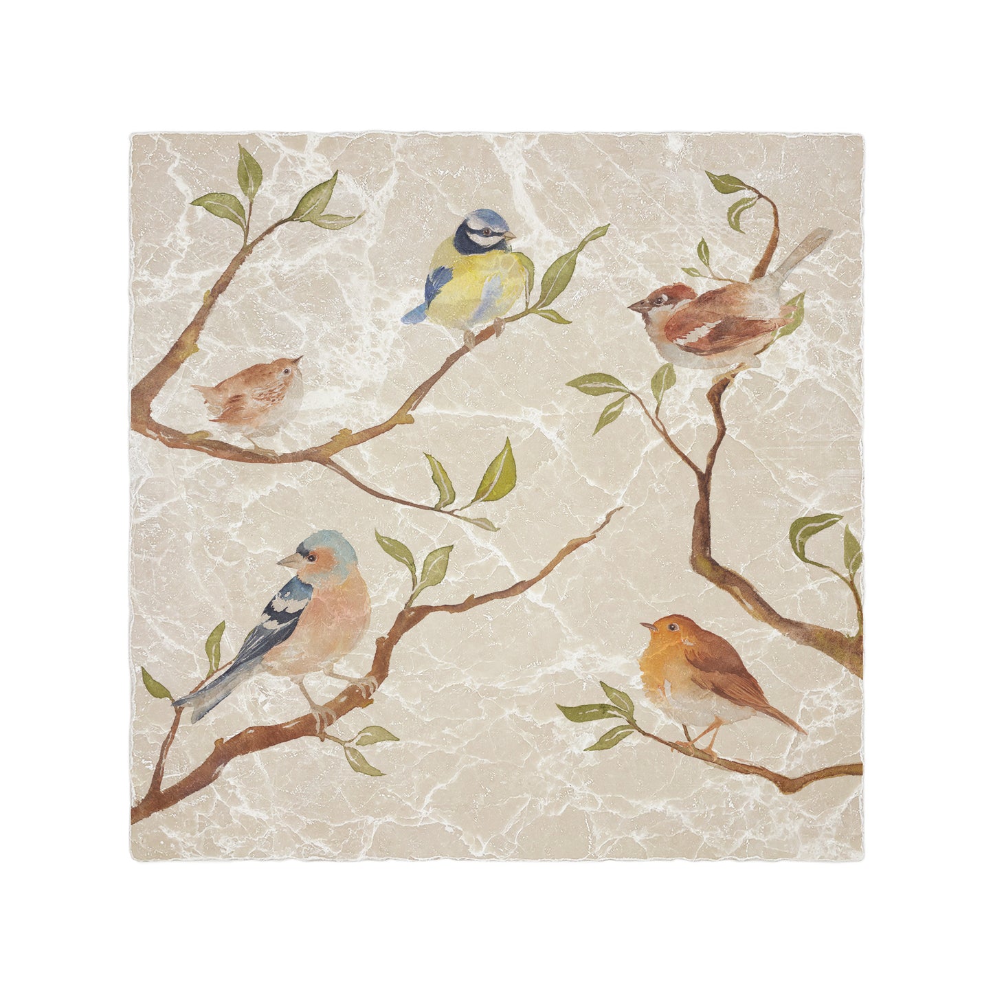A large square cream multipurpose marble platter, featuring a watercolour design of British garden birds sat on branches.