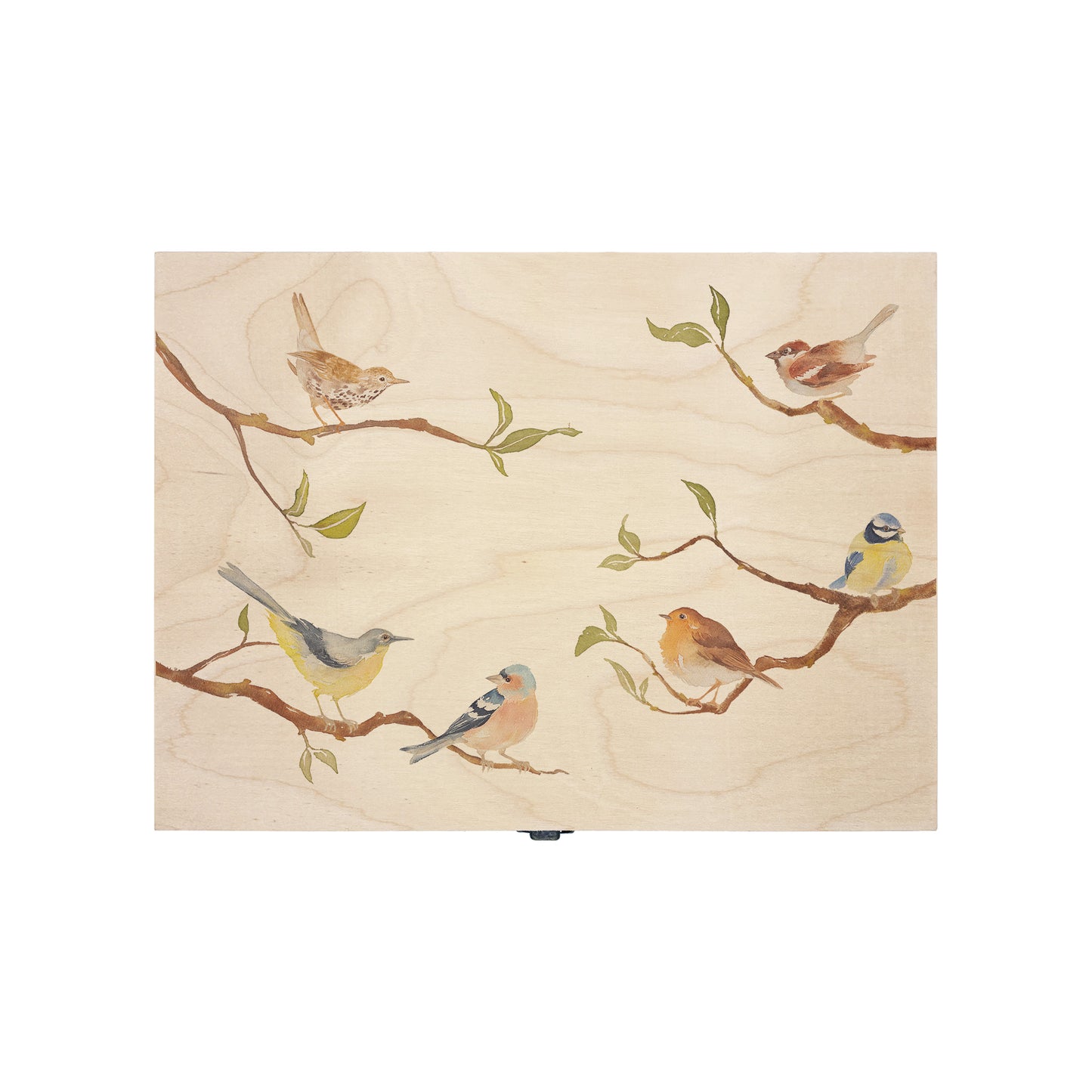 Medium wooden pine gift box, The perfect Personalised keepsake, memory box, storage box. This design features a wren, Robin, Wagtail, blue tit, sparrow and chaffinch on branches. The stunning design is in a classic gentle watercolour style.