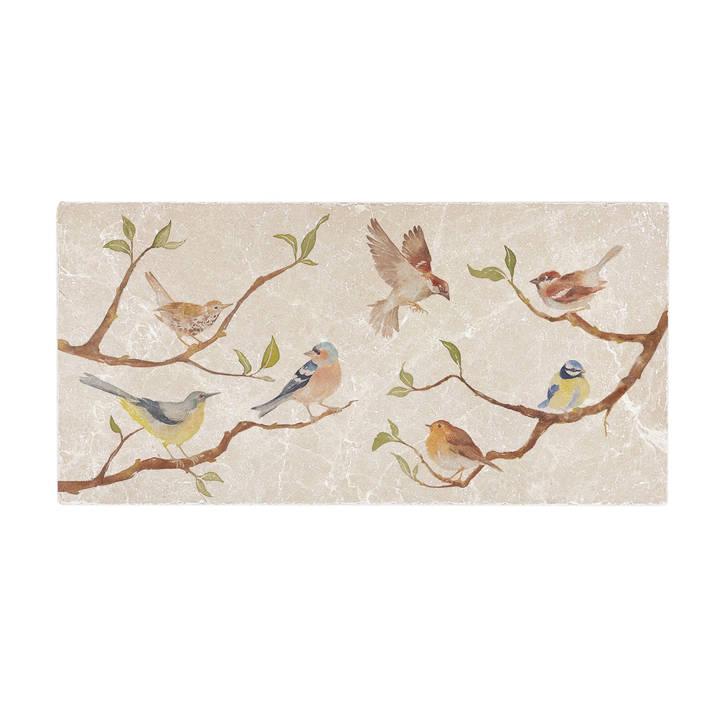A rectangle cream multipurpose marble sharing platter, featuring a watercolour design of British garden birds on branches.