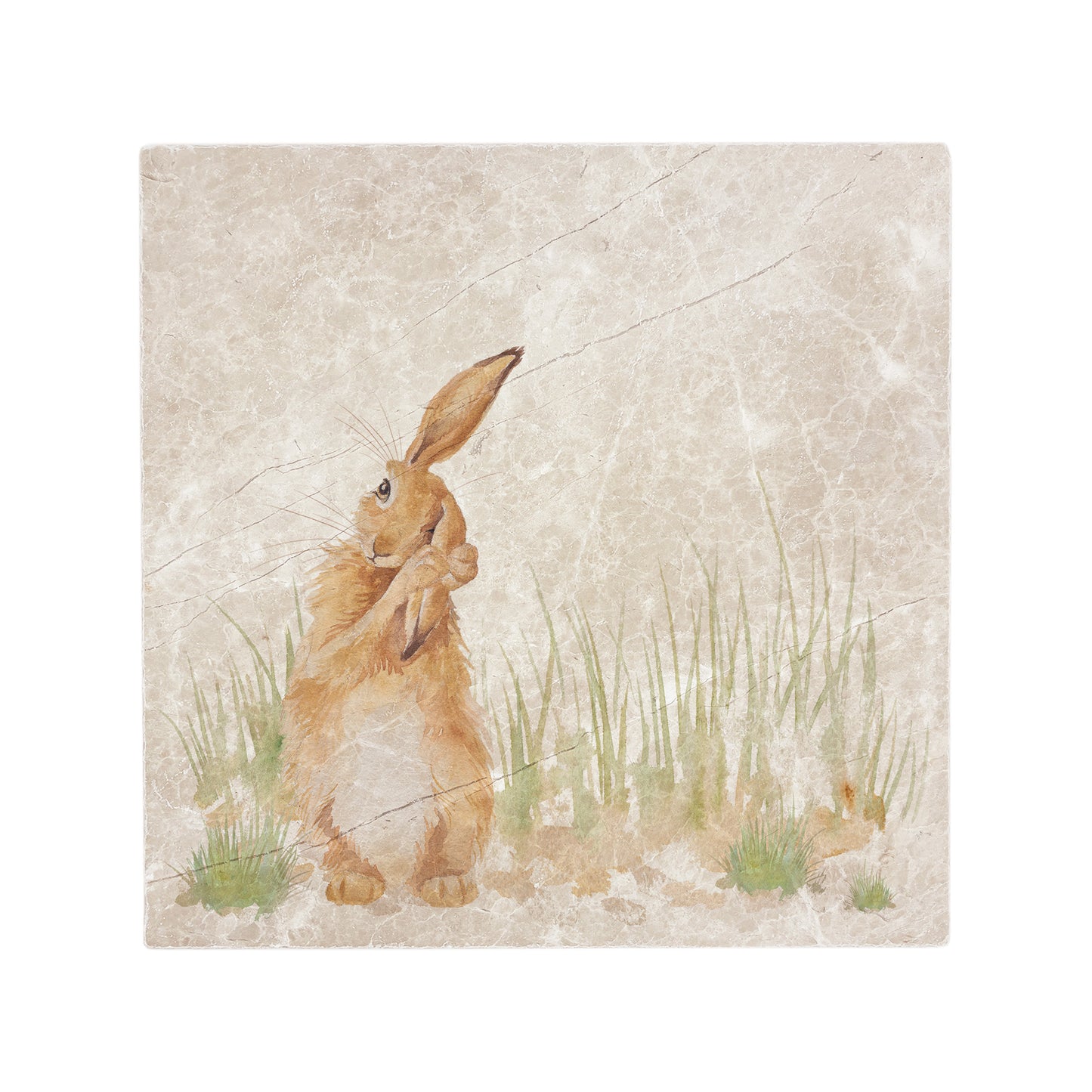 A handmade square cream marble splashback tile featuring a watercolour countryside animal design of a hare in grass cleaning his ear.