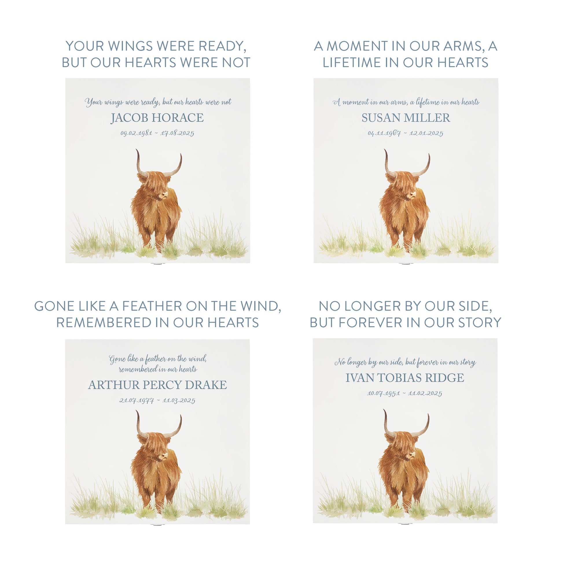 White Square personalised Wooden box with a decorative lid featuring illustrations of a highland cow in a field Perfect funeral memory keepsake box, for storing ashes, order of service, flowers and capturing your loved ones things in one place.