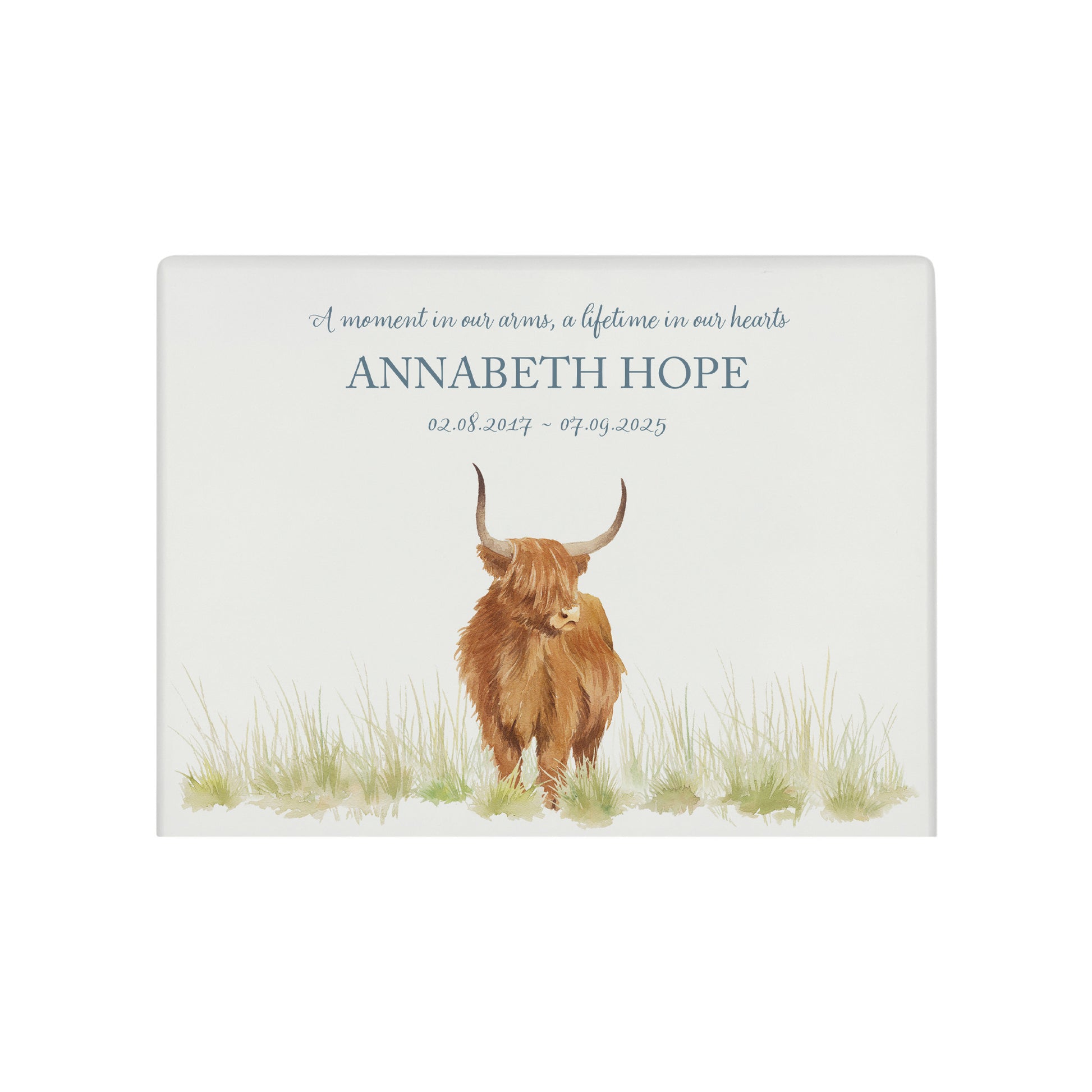 Luxury solid wooden white painted Highland Cow watercolour illustration our urns and Caskets for displaying or burying ashes. Customisable and can be personalised. Perfect funeral memory keepsake urn, for storing ashes for humans and pets