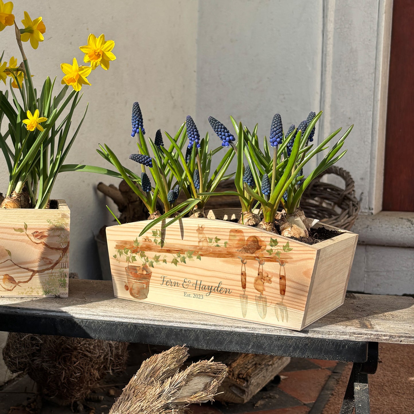 An arched wooden planter box full of spring bulbs. The planter box shows a watercolour design of mice causing mischief in the potting shed climbing tools and plant pots. The planter can be personalised with names and a selection of phrases, making it an ideal gift for any occasion.