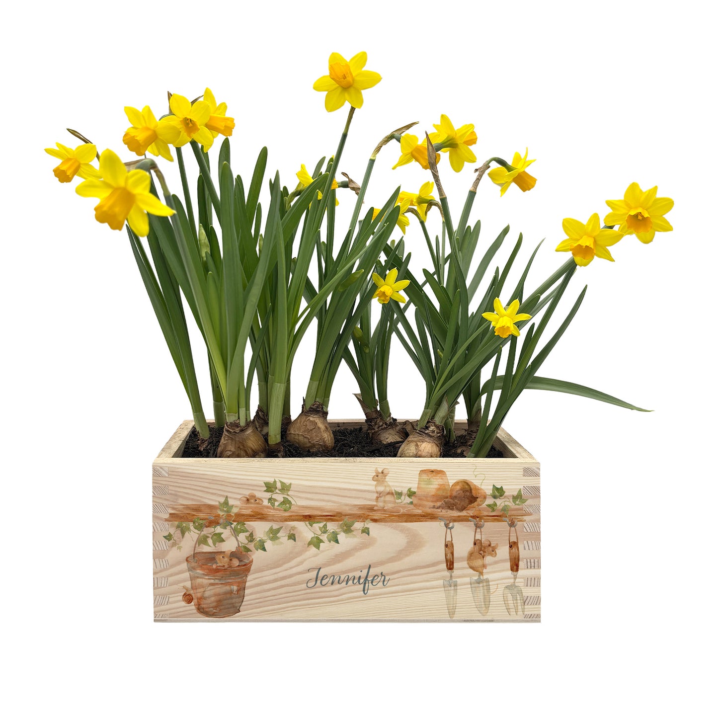 A rectangle wooden planter box with a watercolour design of mice up to mischief in the potting shed climbing the plant pots and tools. The planter can be personalised with a name and a selection of custom phrases. An ideal gift for birthdays, special occasions, weddings, keepsakes and more.