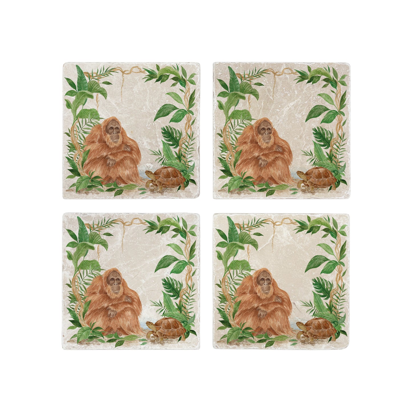 Welcoming our Rainforest Design, surrounded by the rainforest leaves and vines. Our Orangutan and Tortoise sitting a quiet corner of the rainforest. Illustrated in our original watercolour designs on our set of 4 Coasters.