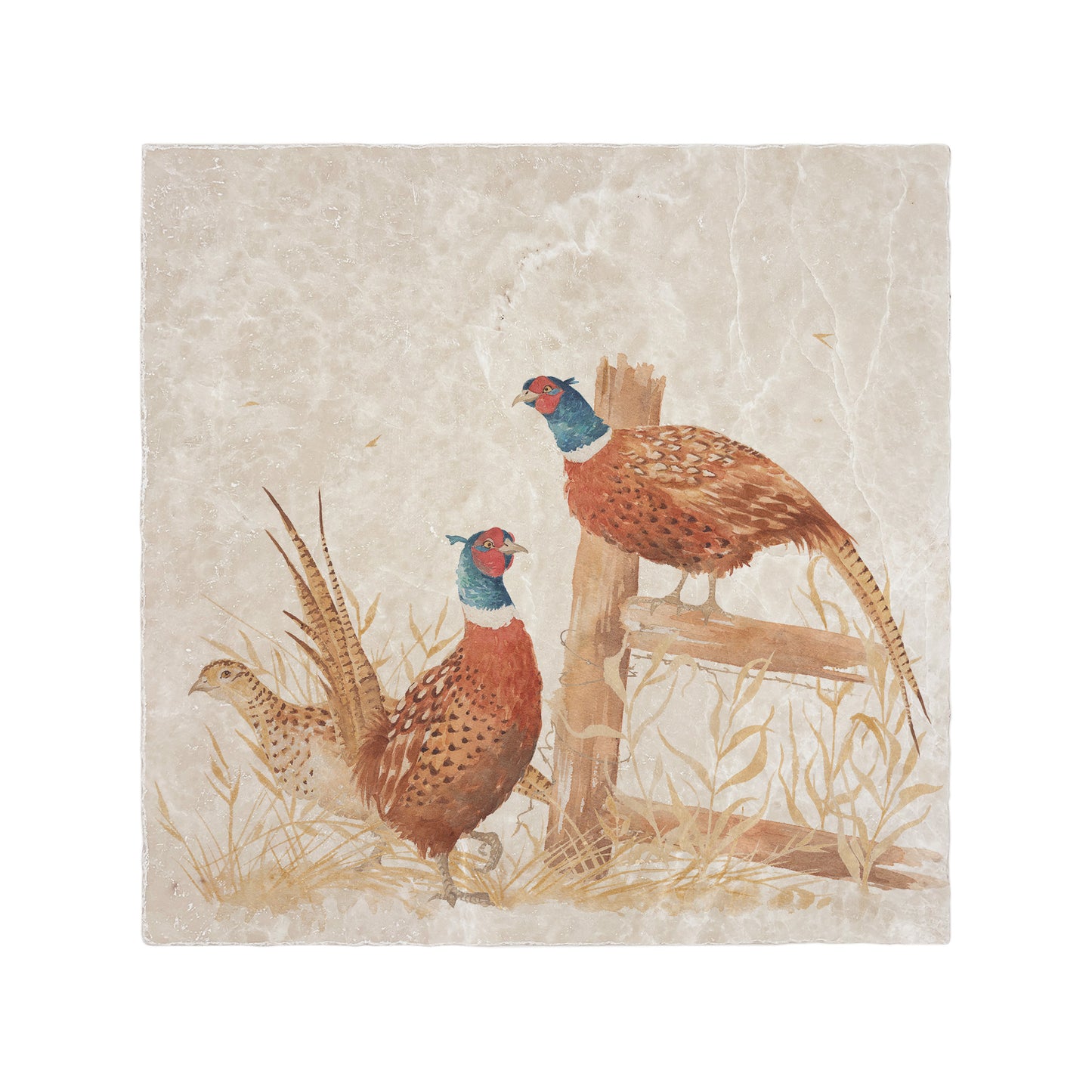 A handmade square cream marble splashback tile featuring a watercolour design of pheasants in a field.
