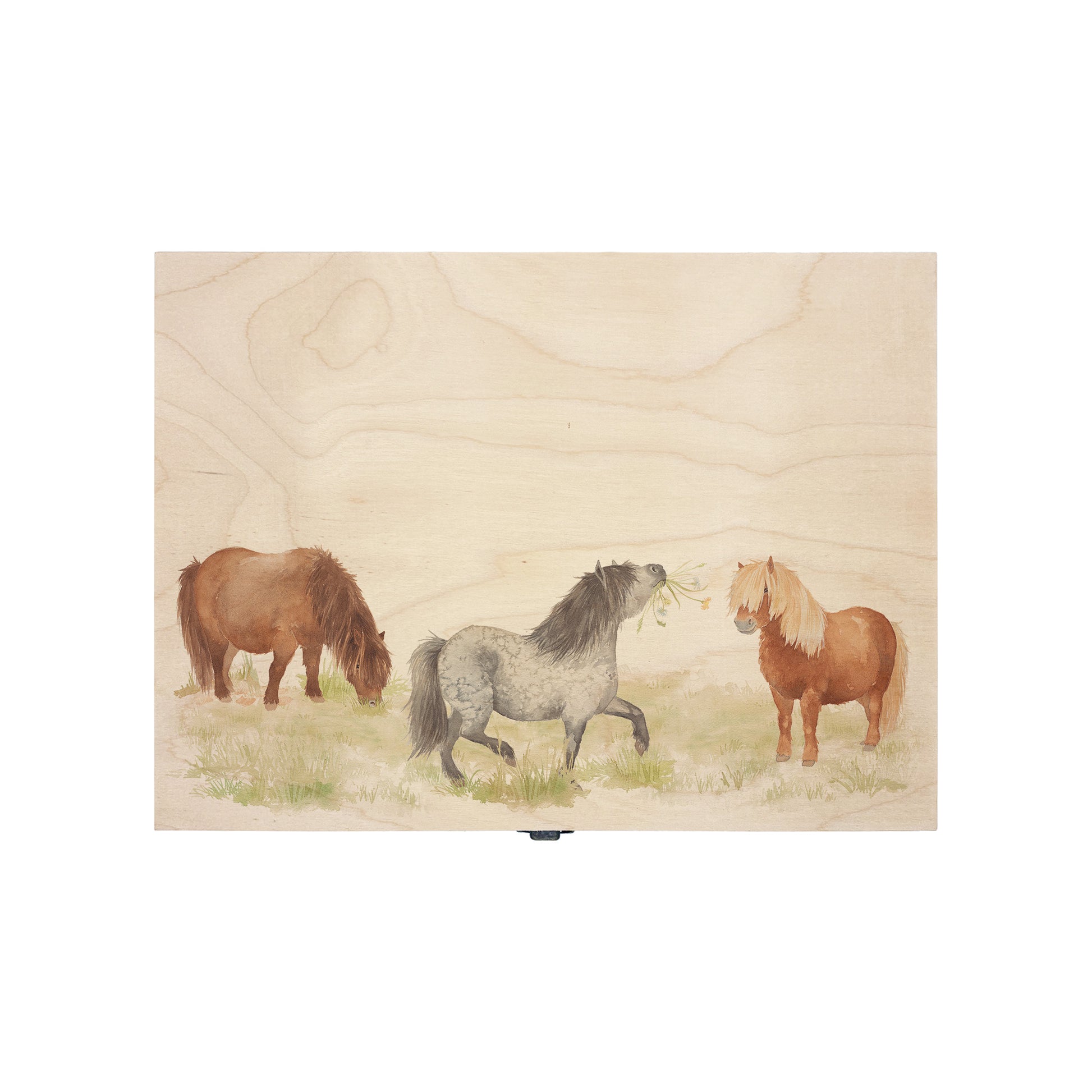 Medium wooden pine gift box, The perfect Personalised keepsake, memory box, storage box with a gentle watercolour Shetland ponies in a field.