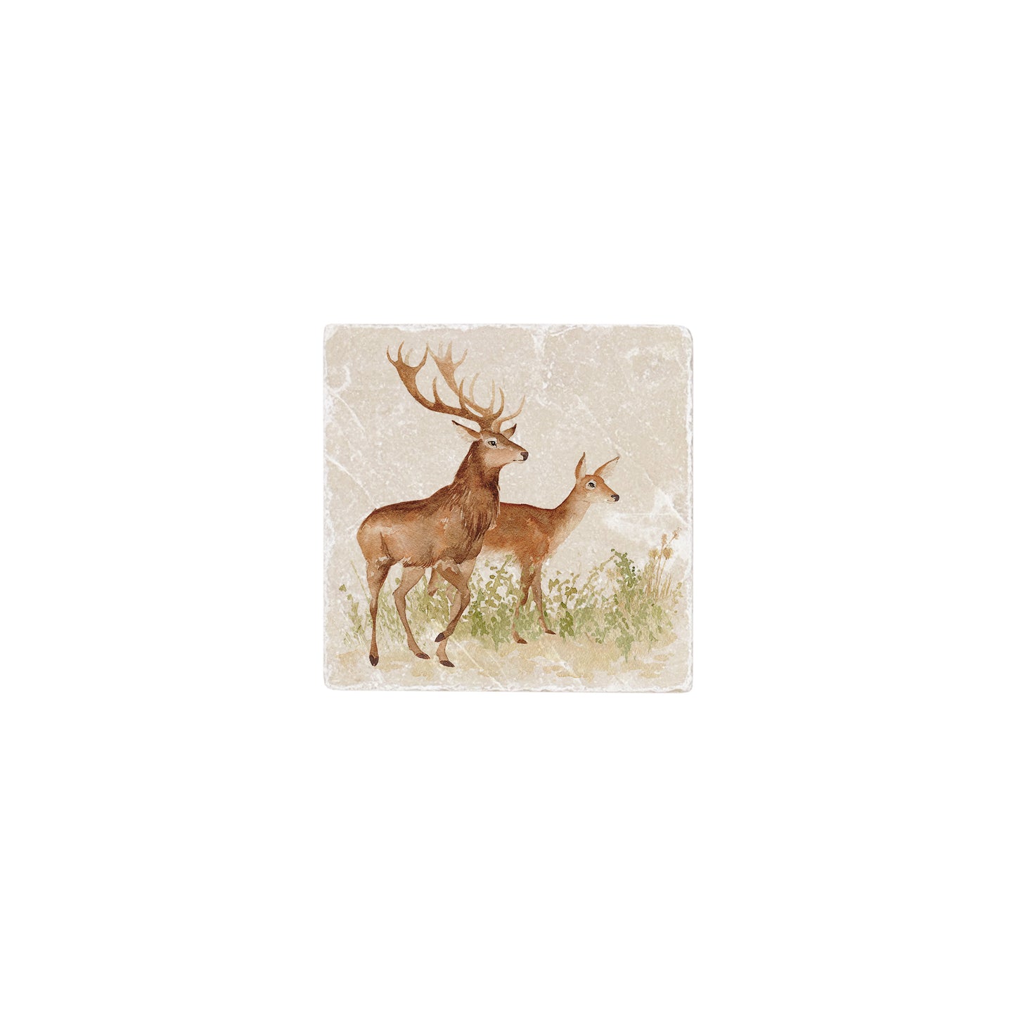 A 10x10cm cream marble splashback tile with a watercolour design featuring a red deer stag and doe.