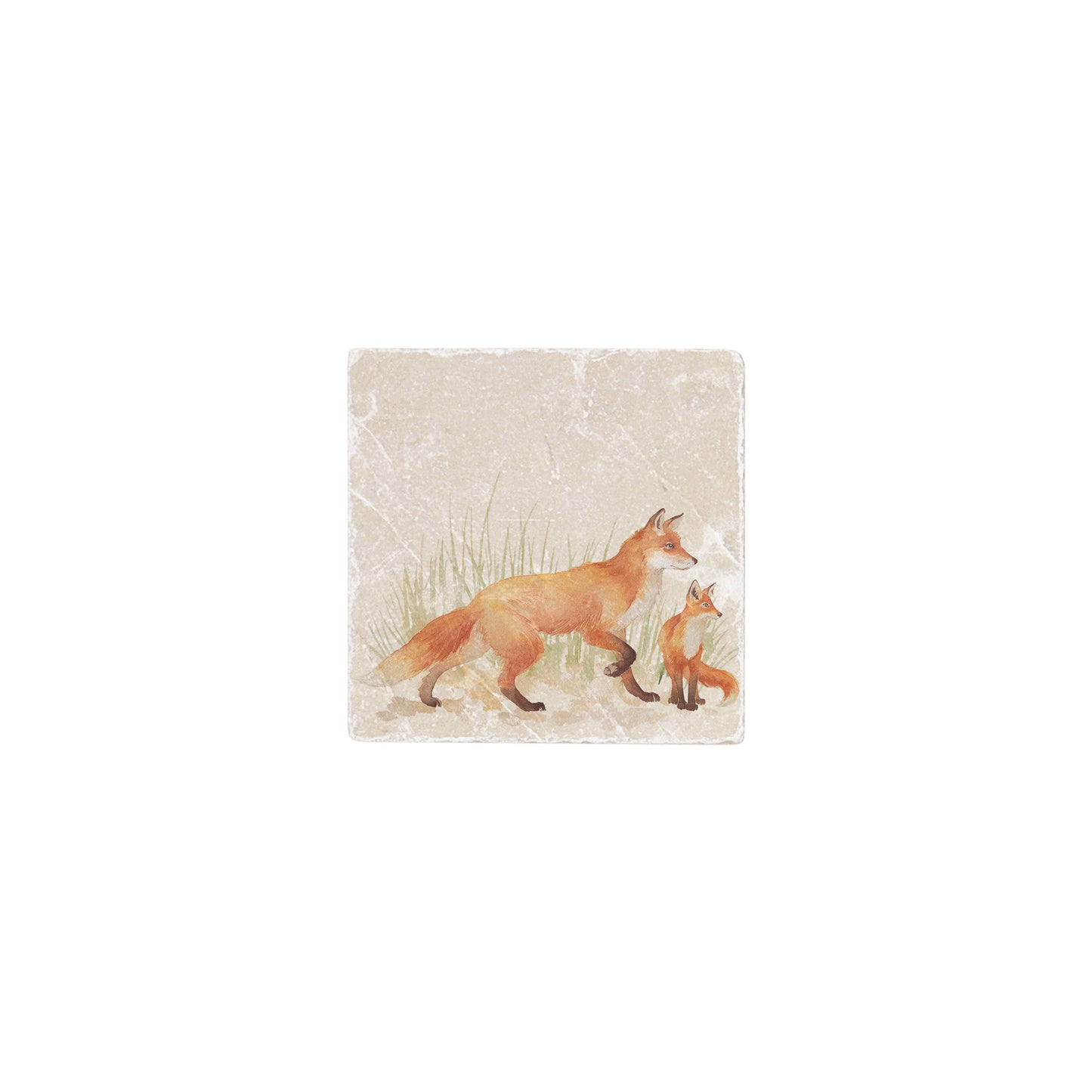 A 10x10cm cream marble splashback tile with a watercolour design featuring a fox and fox cub.