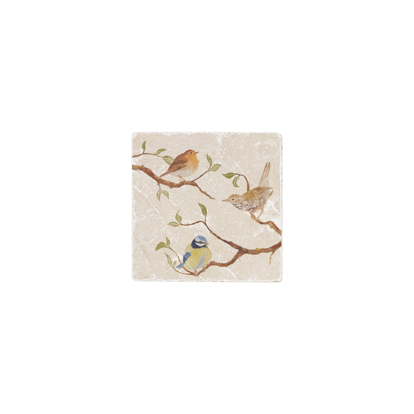 A 10x10cm cream marble splashback tile with a watercolour design featuring garden birds in branches.