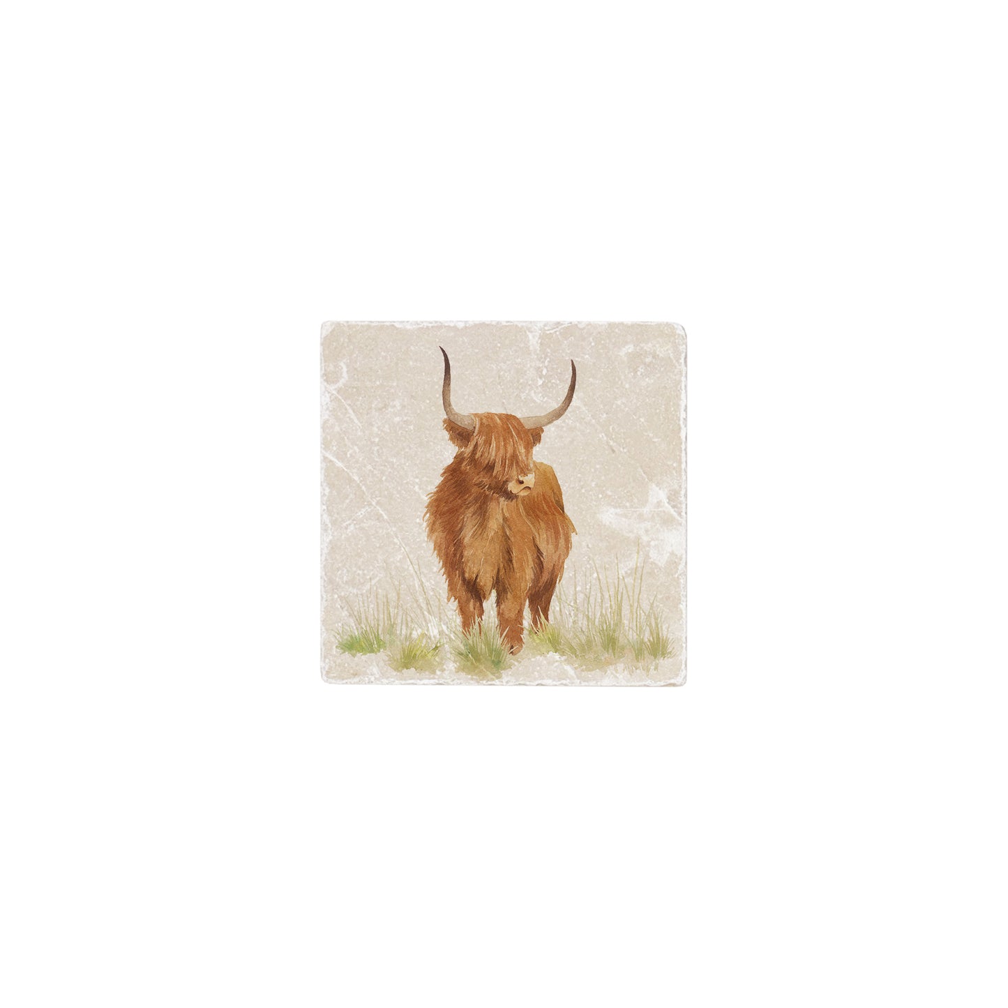A 10x10cm cream marble splashback tile with a watercolour design featuring a highland cow.
