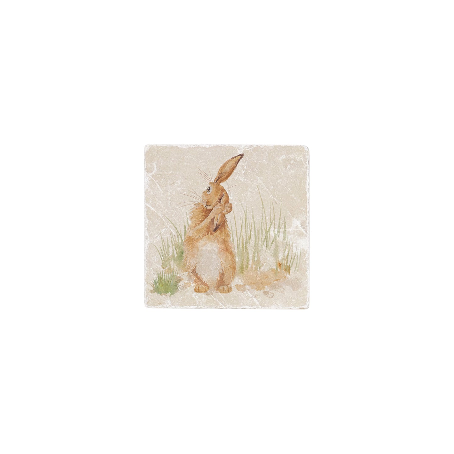 A 10x10cm cream marble splashback tile with a watercolour design featuring a hare washing his ear.