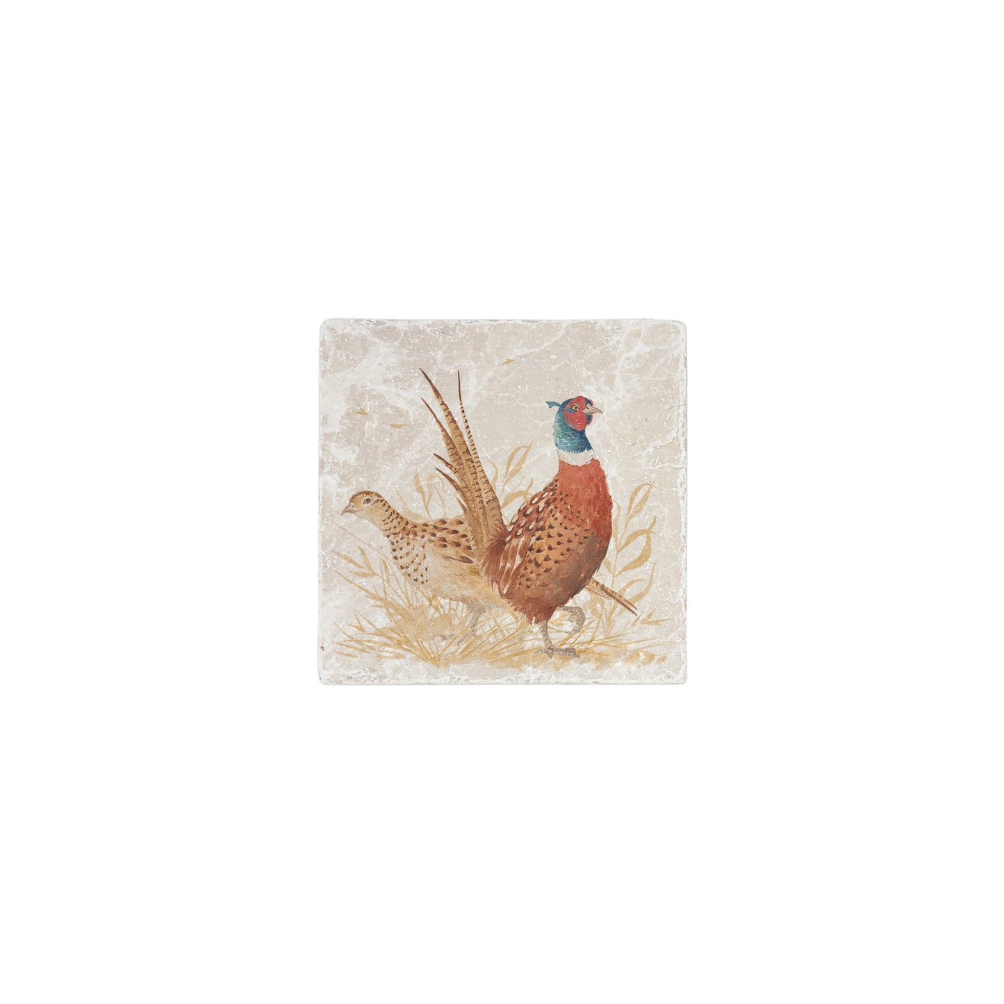 A 10x10cm cream marble splashback tile with a watercolour design featuring a pheasant couple.