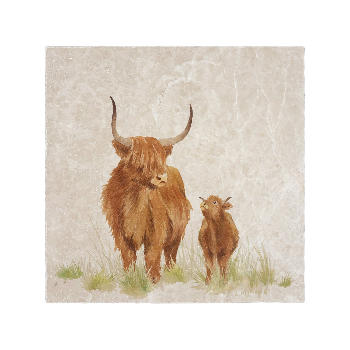 A handmade square cream marble splashback tile featuring a watercolour design of a family of Highland cows.