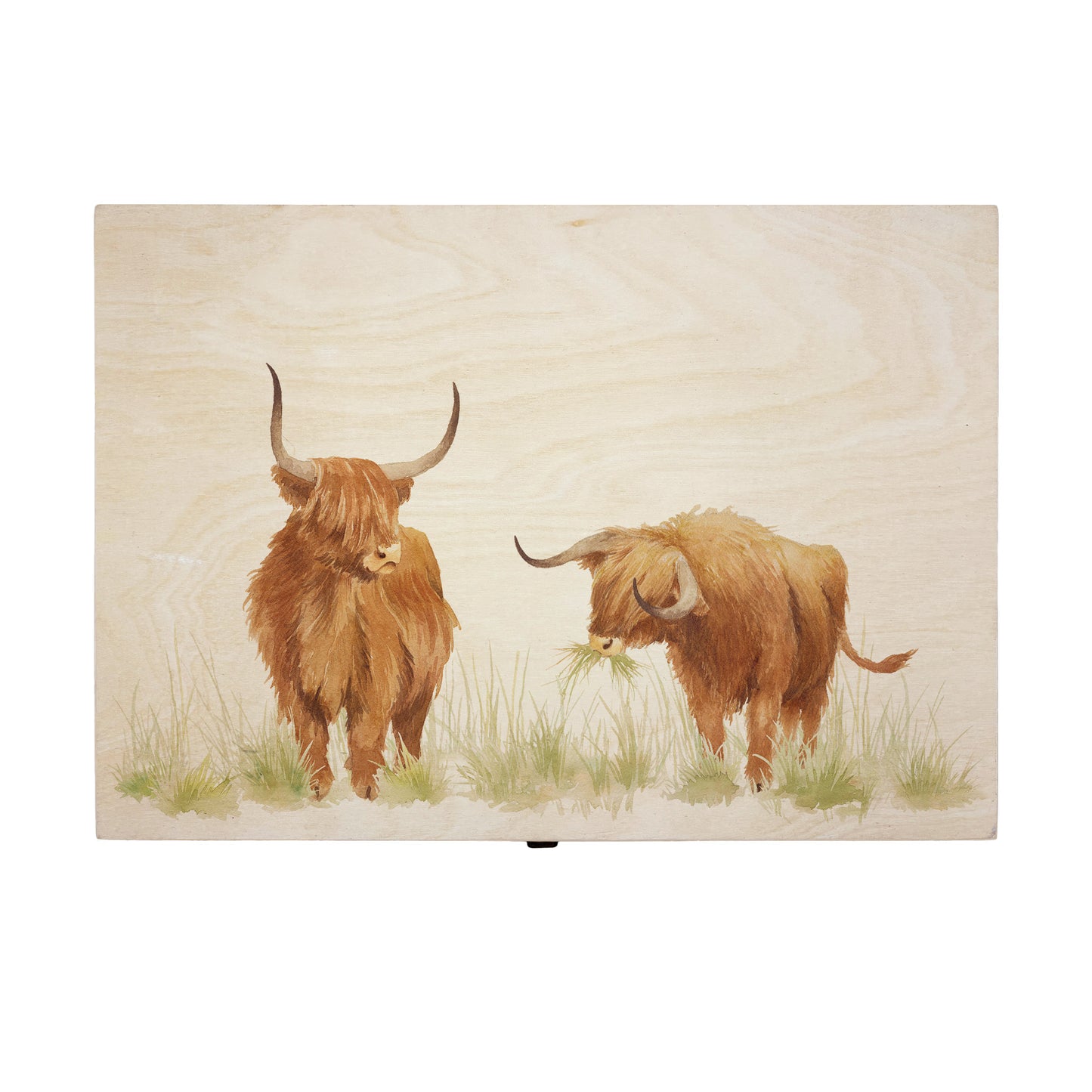 Large wooden pine gift box, The perfect Personalised keepsake, multipurpose, memory box, storage box with two Highland cows in a field. The design features our classic gentle watercolour style. The best was to offer a truly unique gift for a loved one.