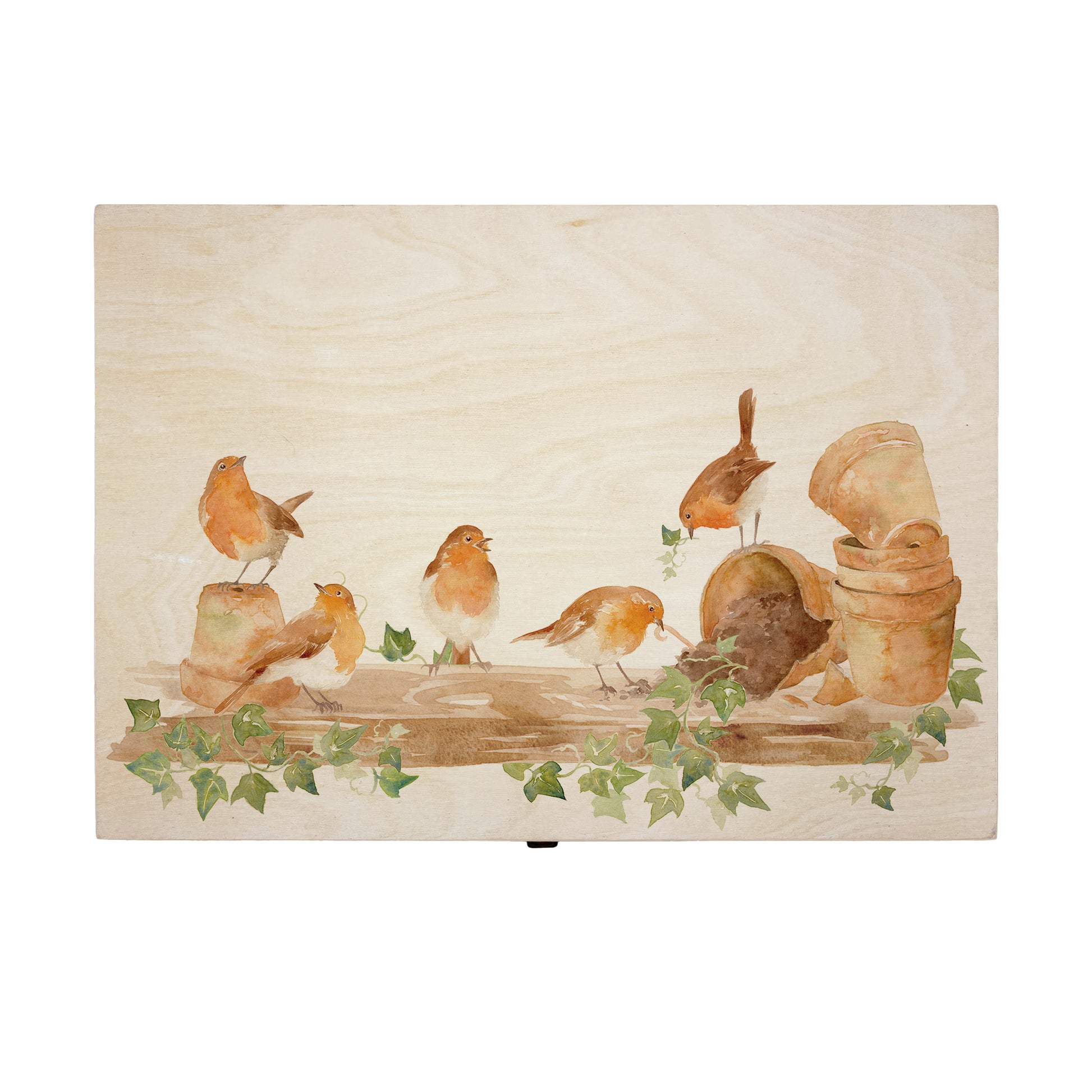 Large wooden pine gift box, The perfect Personalised keepsake, memory box, storage box with a rabble of robins playing on a greenhouse shelf covered in Ivy and plant pots, some of the robins have knocked over the plant pots leaving soil on the self.  The design  features our classic gentle watercolour style.
