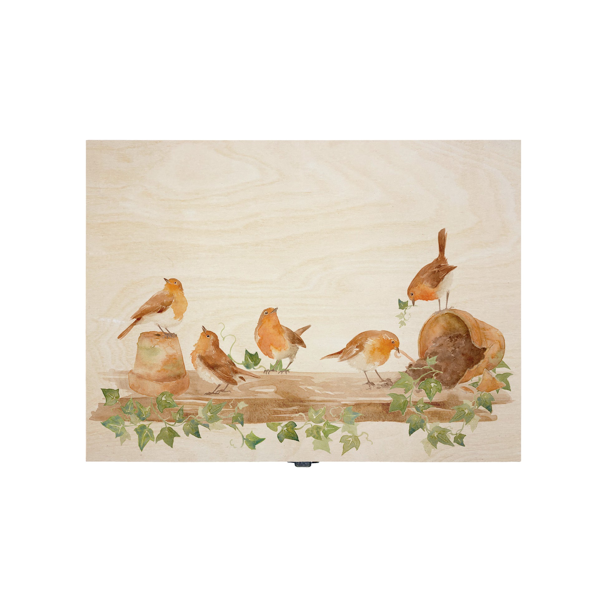Medium wooden pine gift box, The perfect Personalised keepsake, memory box, storage box with a rabble of robins playing on a greenhouse shelf covered in Ivy and plant pots, some of the robins have knocked over the plant pots leaving soil on the self.  The design  features our classic gentle watercolour style.