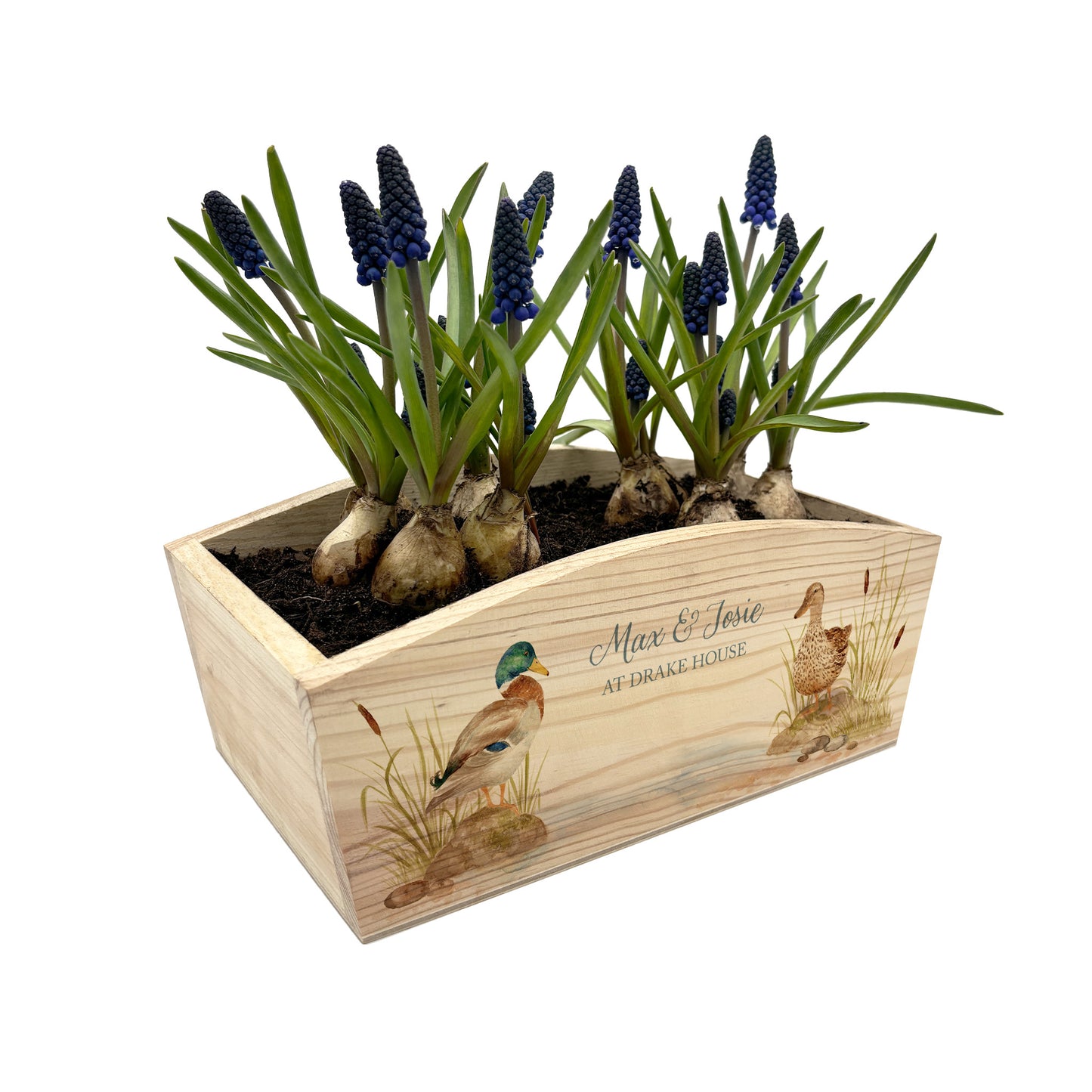 An arched wooden planter box with a watercolour design of mallard ducks by the pond. The planter is an ideal gift for gardening enthusiasts, and can be personalised with names, dates and phrases to suit any occasion.
