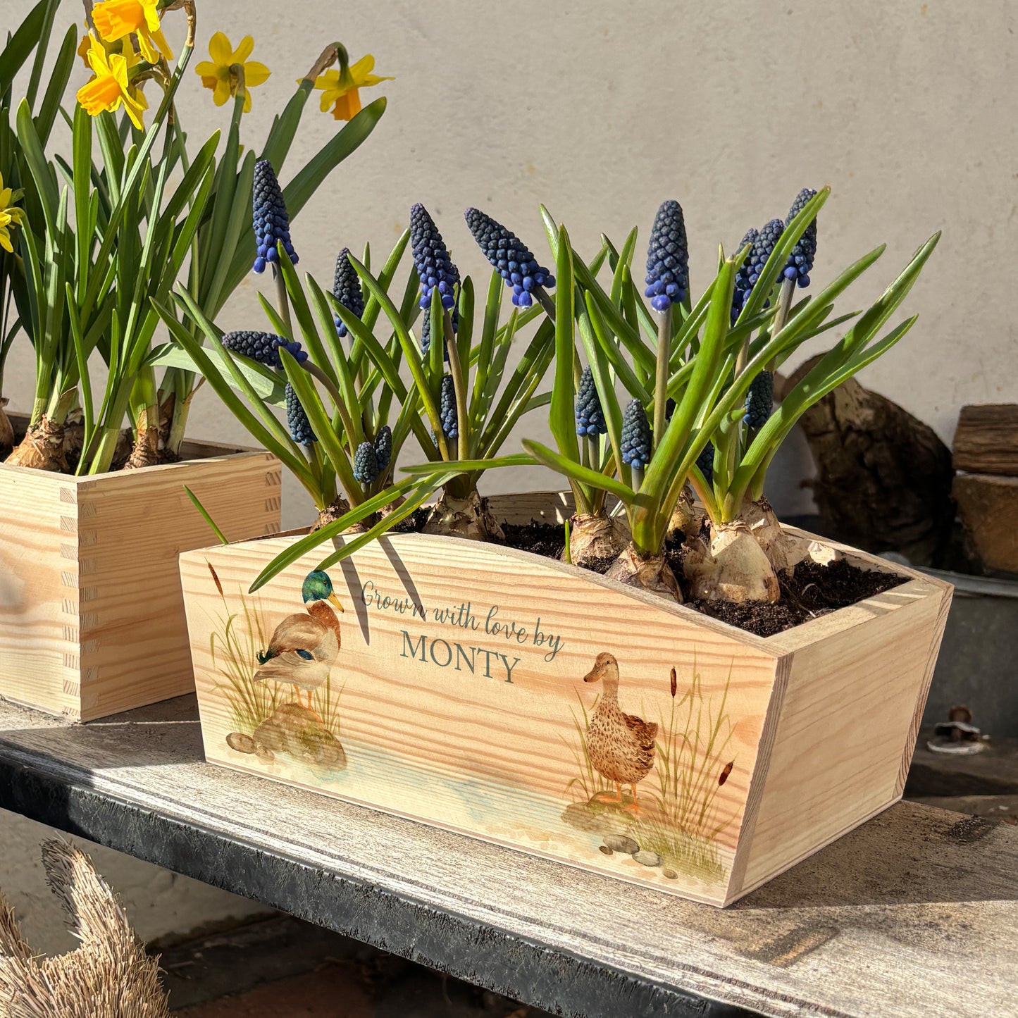 An arched wooden planter box full of spring bulbs. The planter box shows a watercolour design of mallard ducks by the pond. The planter can be personalised with names and a selection of phrases, making a wonderful gift for any occasion.