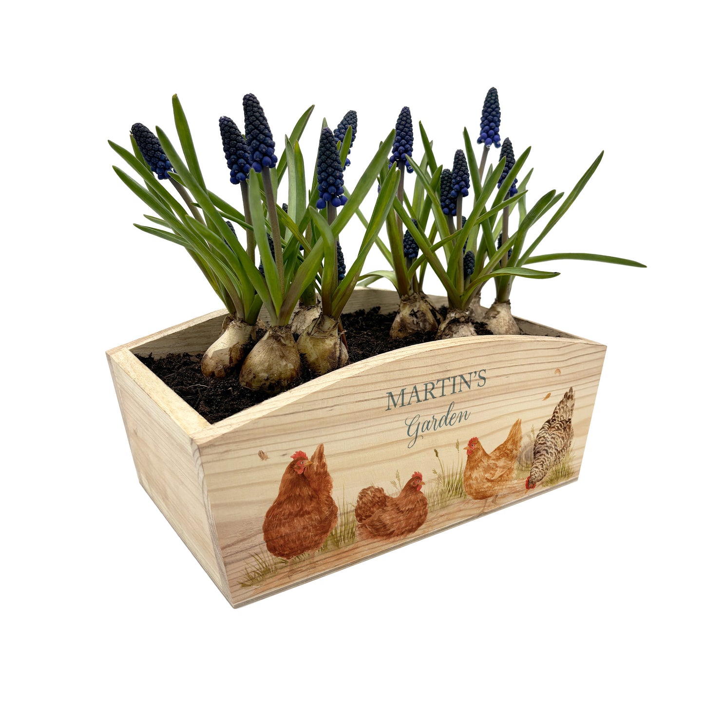An arched wooden planter box full of spring bulbs. The planter box shows a watercolour design of hens pecking in the farmyard. The planter can be personalised with names and a selection of phrases, making it an ideal gift for any occasion.
