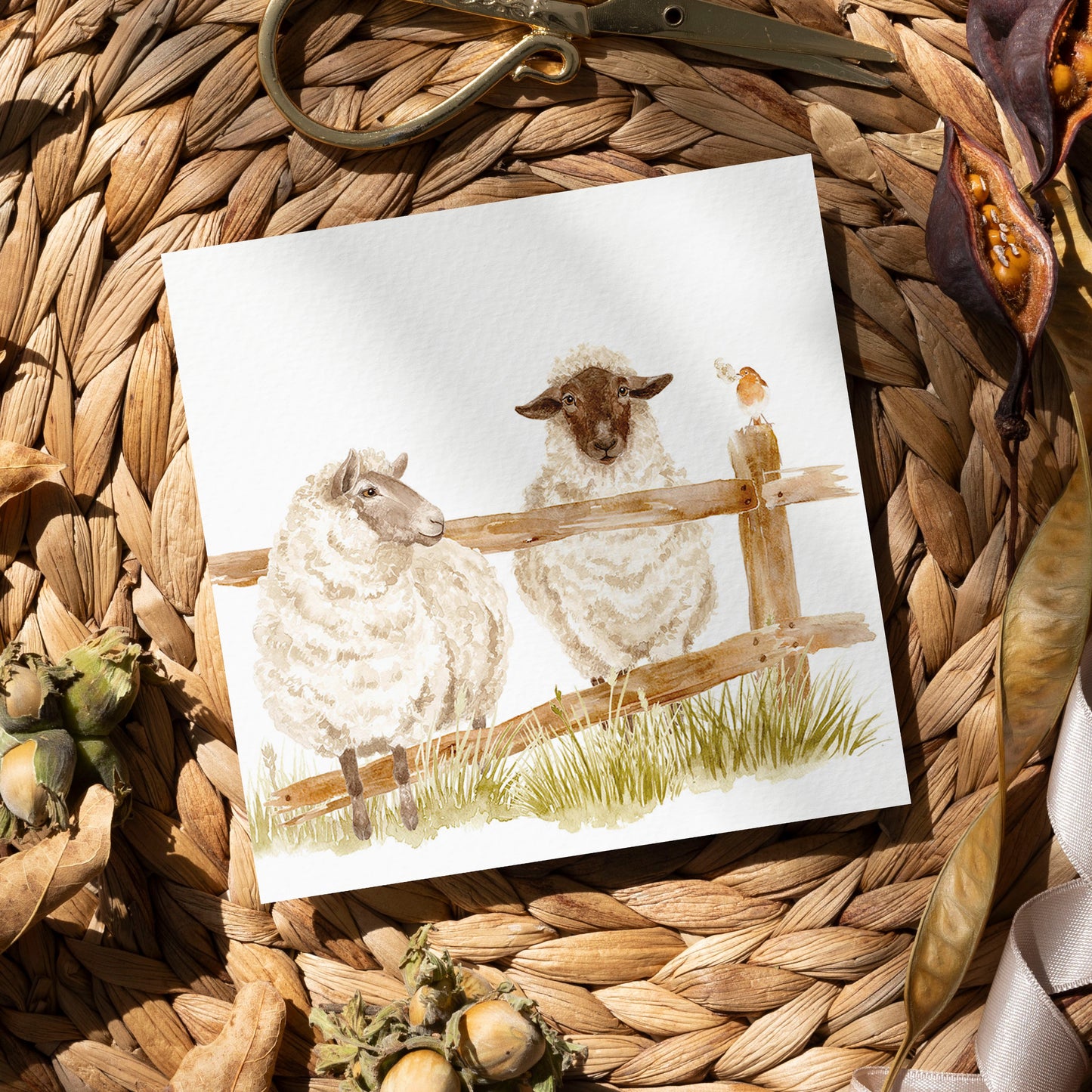 A square greetings card featuring a watercolour design of two sheep escaping through a broken fence.