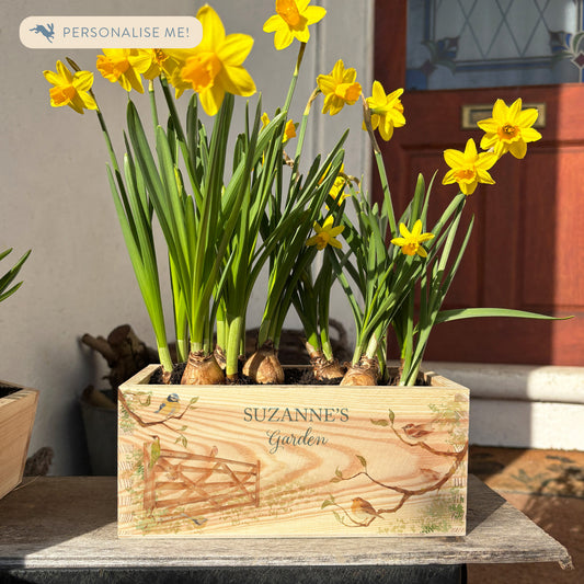 A rectangle wooden planter full of bright daffodils. The planter box shows a watercolour design of a hedgerow fill of garden birds around a gate, and is personalised with a special message and custom name. An ideal gift for gardeners, birthdays, new home, wedding, anniversary or engagment.