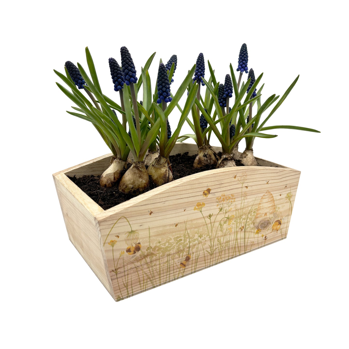 An arched wooden planter with a watercolour design of bees in a buttercup meadow surrounding a beehive. A beautiful gift for gardeners.