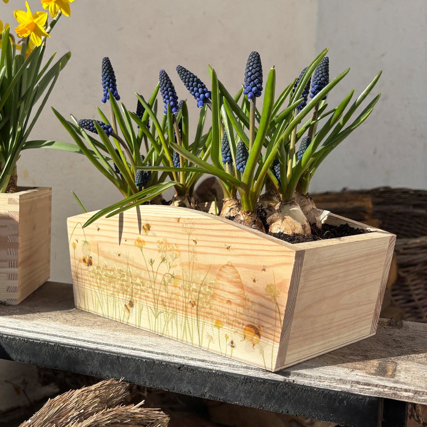An arched wooden planter box for bulbs, seeds and plants. The planter shows a watercolour design of busy bees in a field of buttercups surrounding a beehive. An ideal gift for gardeners.