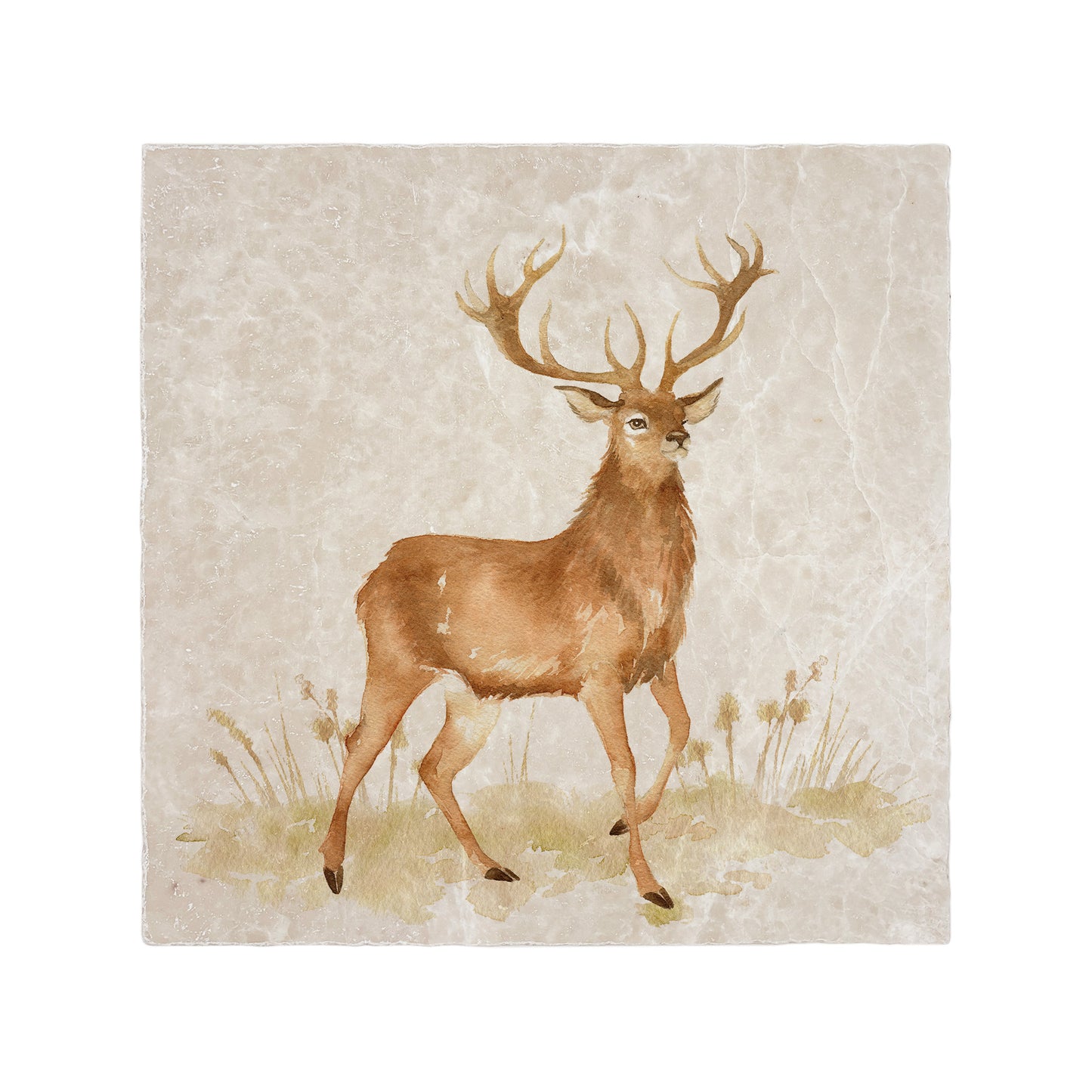 A handmade 30.5x30.5cm marble splashback tile featuring a watercolour design of a majestic stag.