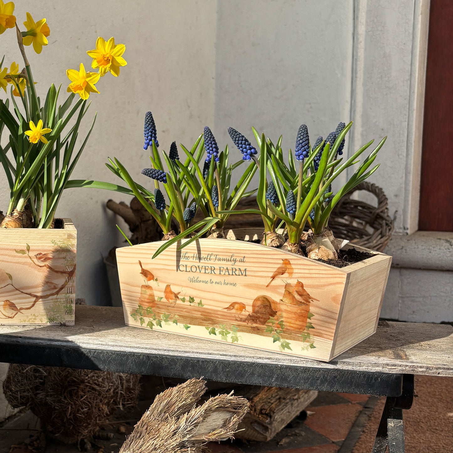 An arched wooden planter box full of spring bulbs. The planter box shows a watercolour design of robins up to mischief in the potting shed knocking over plant pots. The planter can be personalised with names and a selection of phrases for any occasion, including wedding, anniversary, engagement, birthday and new home.