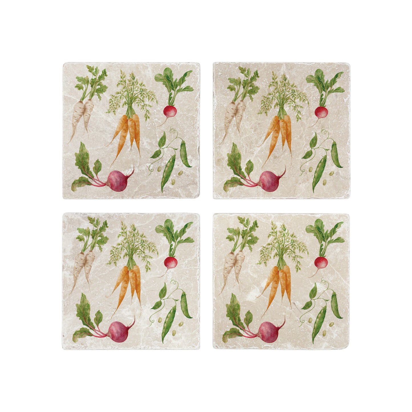 The Vegetable Garden coasters set of 4 featuring watercolour Carrots, Radish, Runner Beans, Beetroot and Parsnips