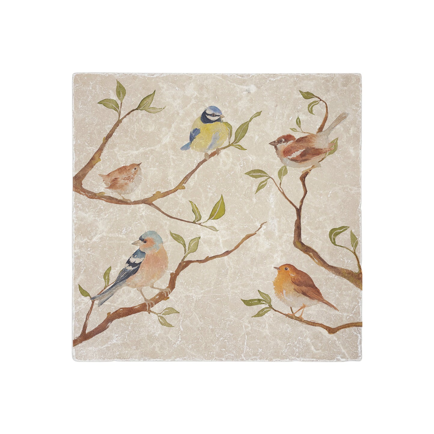 A handmade cream marble splashback tile featuring a watercolour countryside animal design of British garden birds on branches.