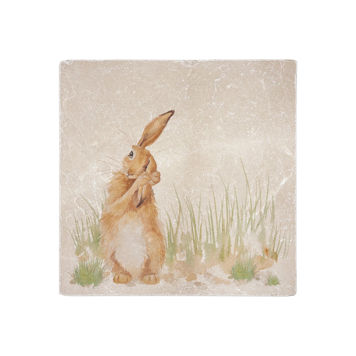 A handmade cream marble splashback tile featuring a watercolour countryside animal design of a hare in grass cleaning his ear.