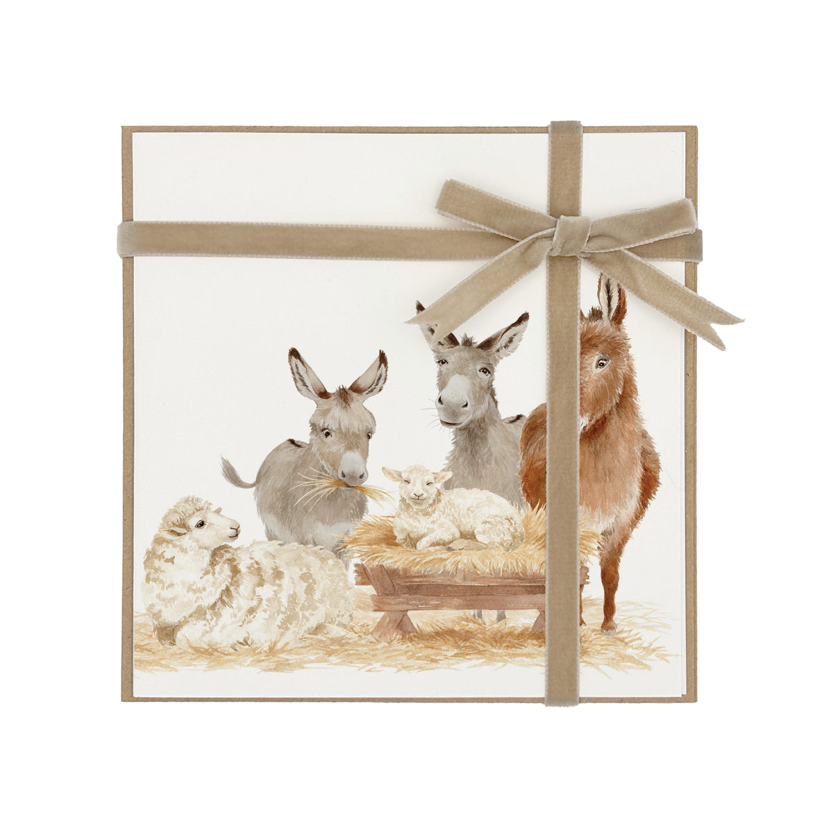 A square greeting card featuring a watercolour nativity scene with donkeys, sheep, and a baby lamb in a manger, wrapped with a champagne gold velvet ribbon and bow on a white background.