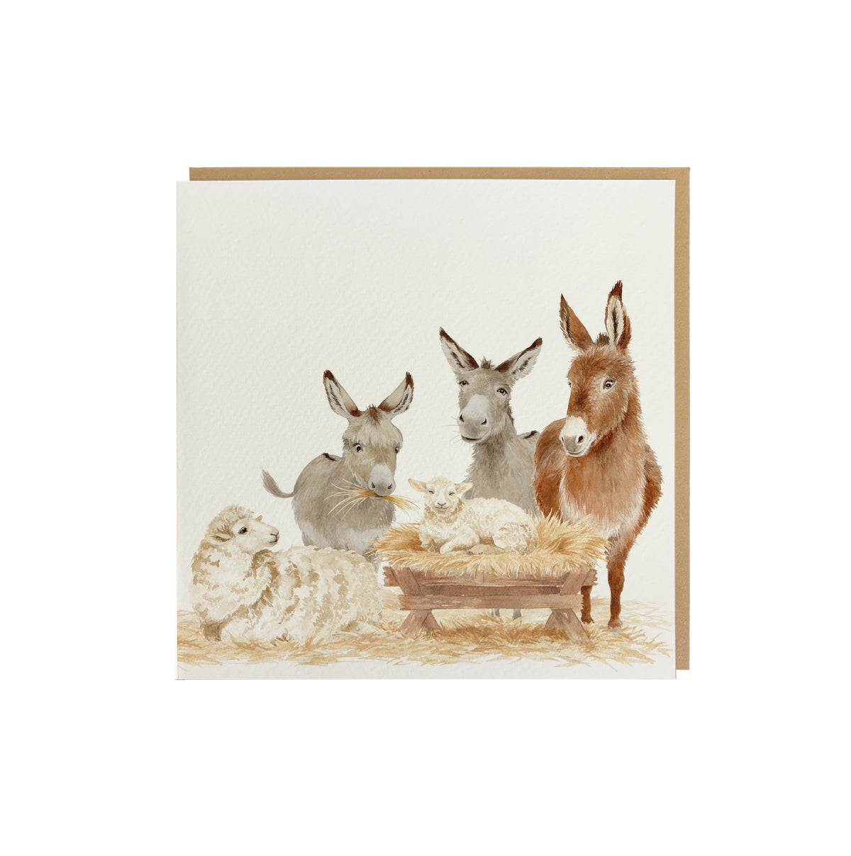 A square greeting card featuring a watercolour nativity scene with donkeys and sheep around a small hay manger, shown with a kraft envelope against a white background.