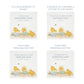 White Square personalised Wooden box with a decorative lid featuring illustrations Baby Chicks Perfect funeral memory keepsake box, for storing ashes, order of service, flowers and coping with baby loss capturing your loved ones things in one place. 