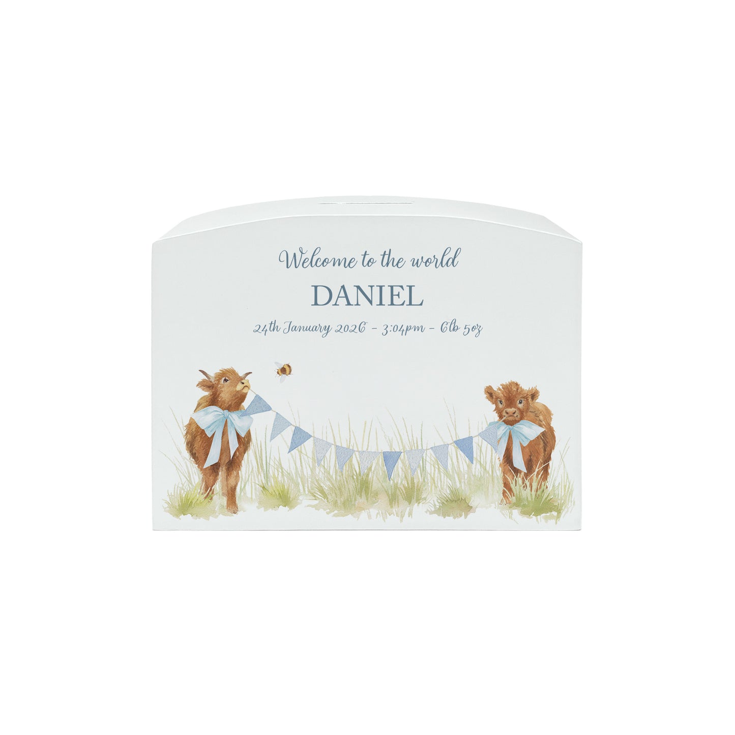Baby Highland cows in a watercolour design on a childrens money box. Perfect for bedroom and nursery. 