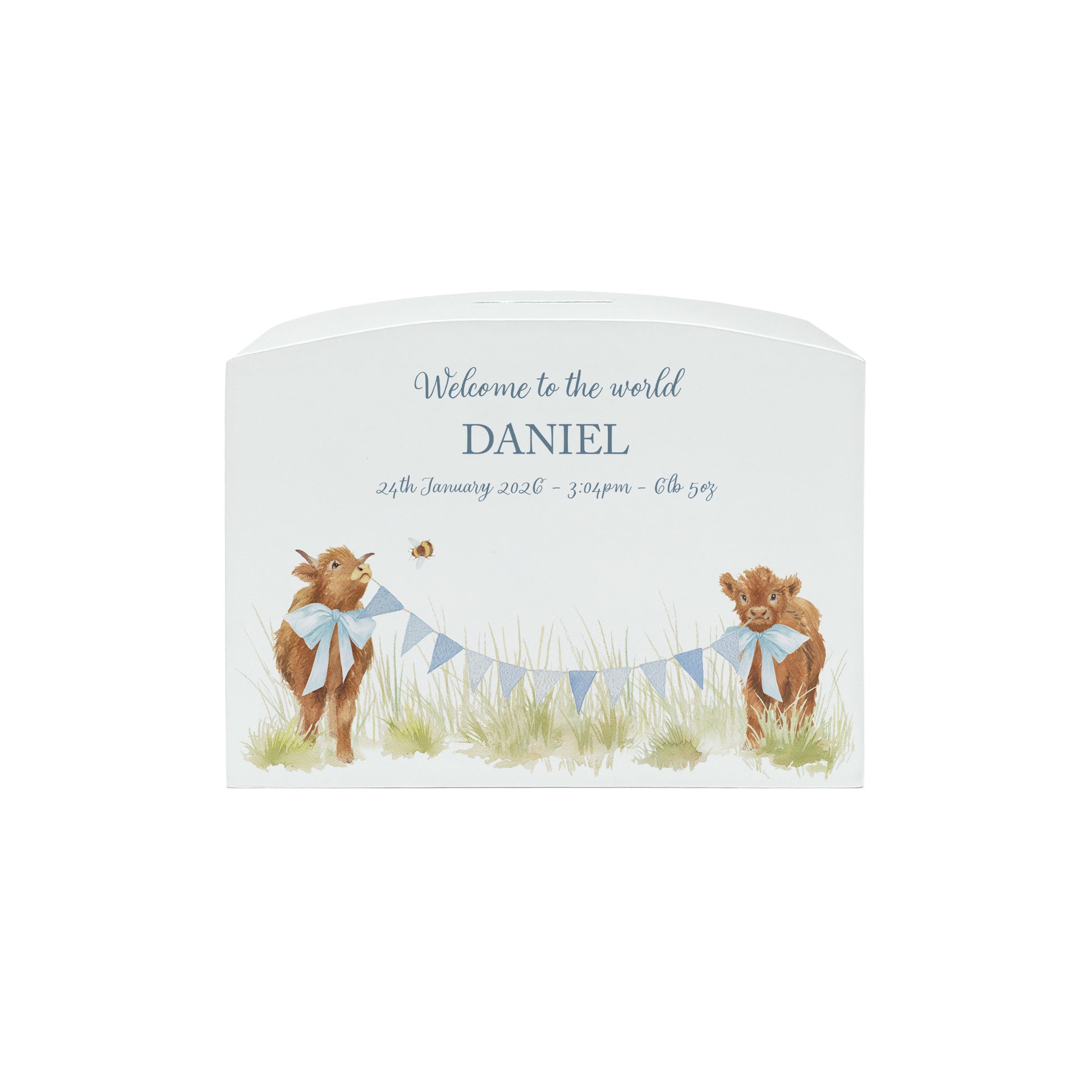 Baby Highland cows in a watercolour design on a childrens money box. Perfect for bedroom and nursery. 