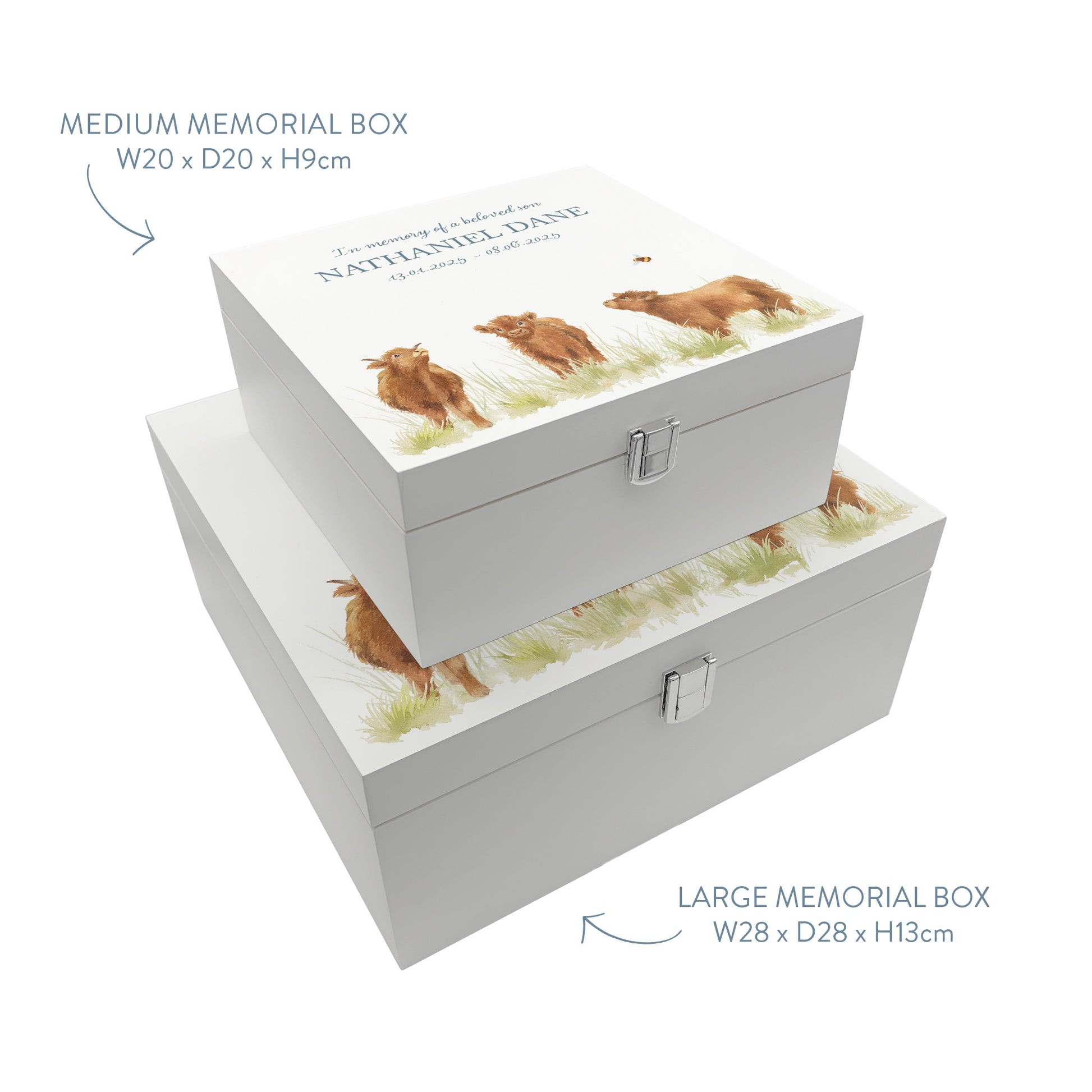 White Square personalised Wooden box with a decorative lid featuring illustrations Baby Highland Cow Perfect funeral memory keepsake box, for storing ashes, order of service, flowers and coping with baby loss capturing your loved ones things in one place. 