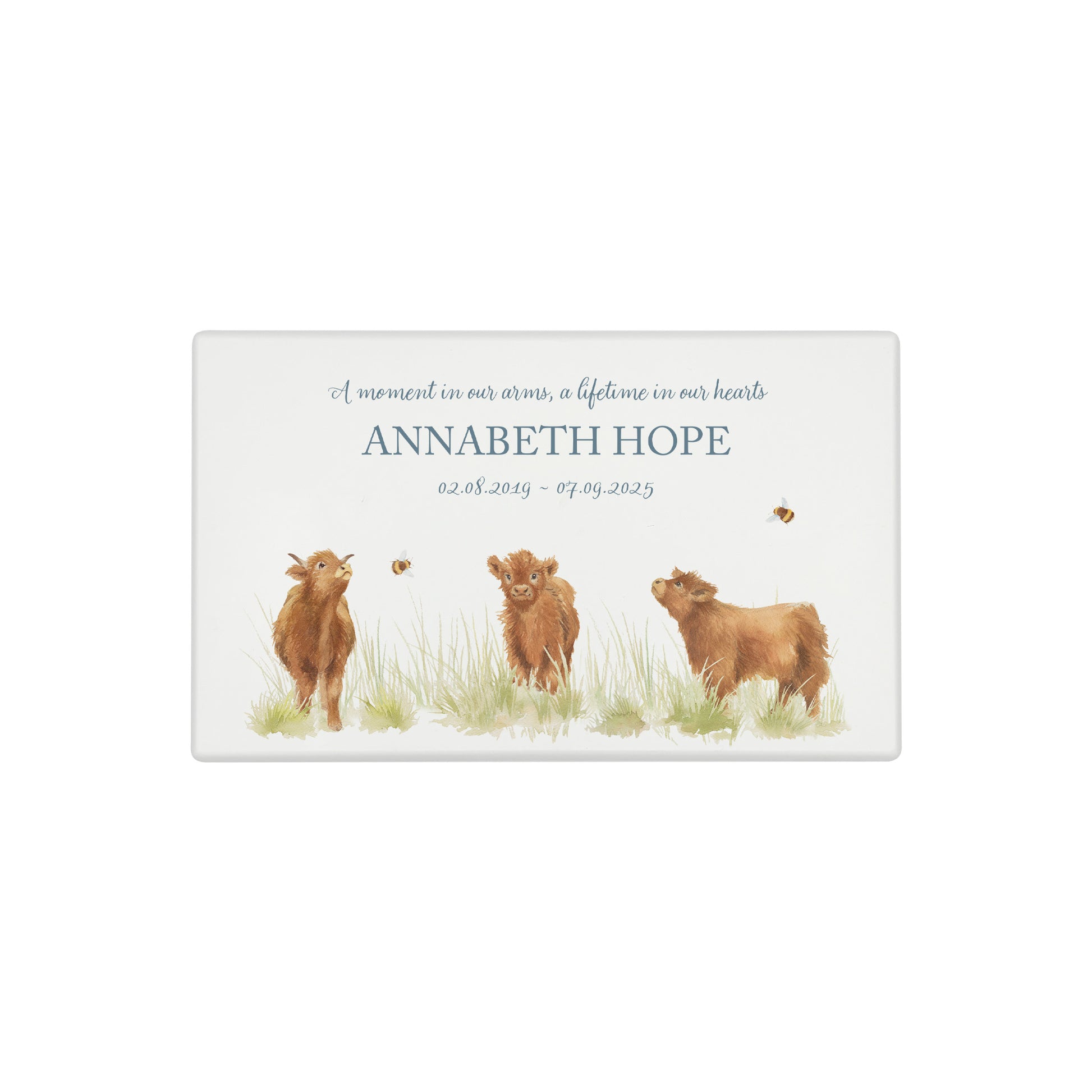 Luxury solid wooden white painted Urn ,  Featuring Baby Highland cow, A watercolour illustration, our urns and Caskets for displaying or burying ashes. Customisable and can be personalised. Perfect funeral memory keepsake urn, for storing ashes for humans and pets. Coping with baby loss, baby memorial