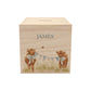personalised watercolour money box handmade for christening keepsake, sweet highland cow babies playing in a field with bunting with bows around their necks